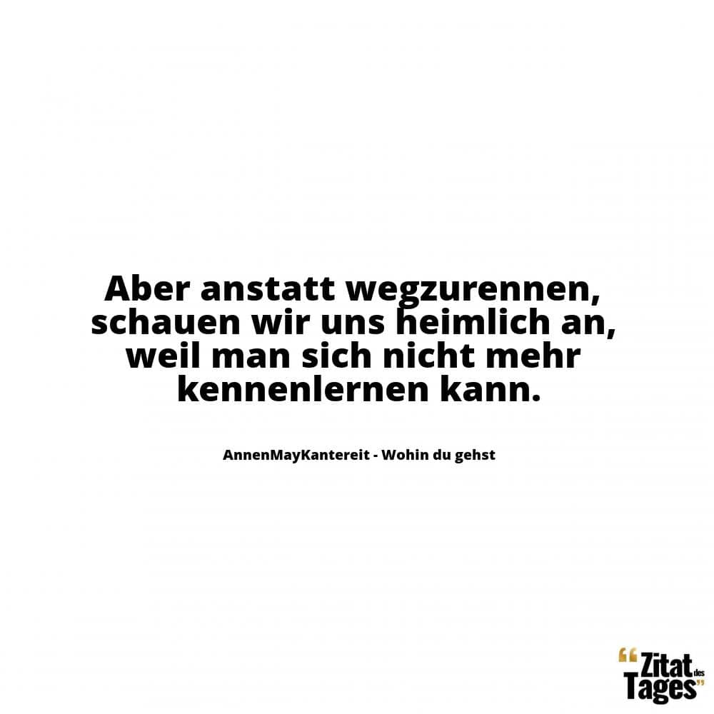 Aber anstatt wegzurennen, schauen wir uns heimlich an, weil man sich nicht mehr kennenlernen kann. - AnnenMayKantereit