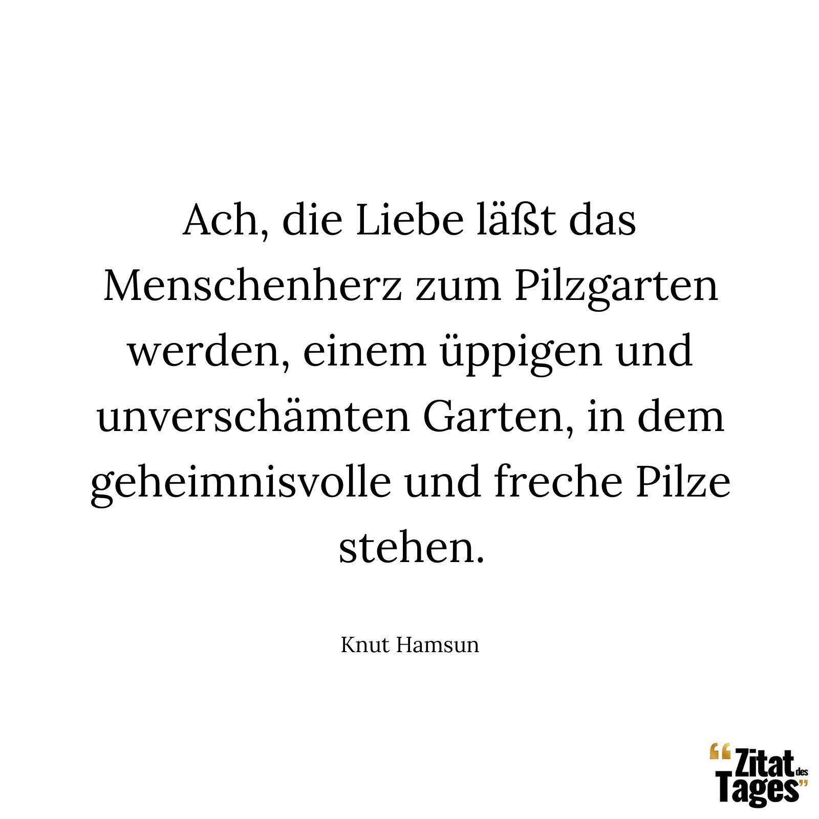 Ach, die Liebe läßt das Menschenherz zum Pilzgarten werden, einem üppigen und unverschämten Garten, in dem geheimnisvolle und freche Pilze stehen. - Knut Hamsun