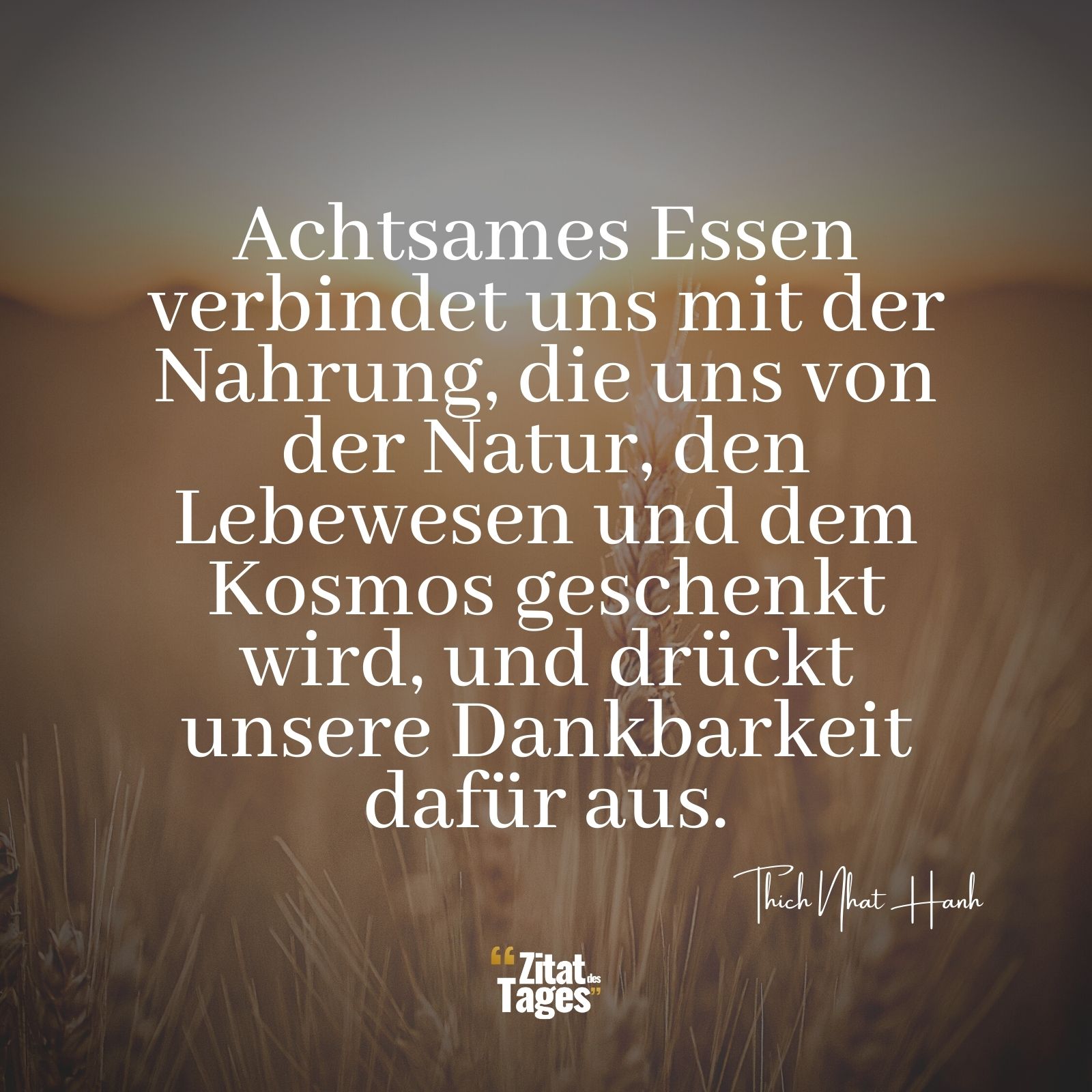 Achtsames Essen verbindet uns mit der Nahrung, die uns von der Natur, den Lebewesen und dem Kosmos geschenkt wird, und drückt unsere Dankbarkeit dafür aus. - Thich Nhat Hanh