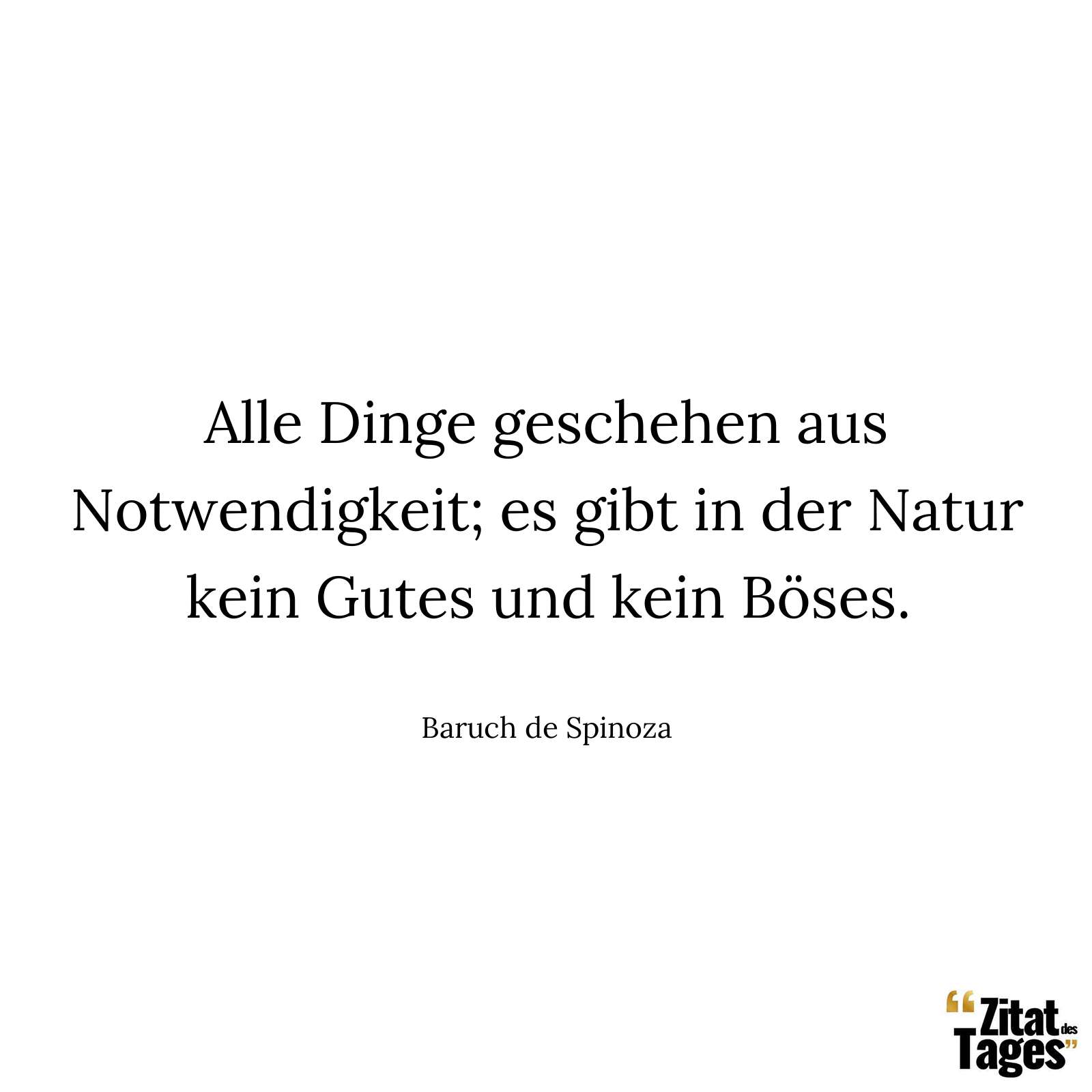 Alle Dinge geschehen aus Notwendigkeit; es gibt in der Natur kein Gutes und kein Böses. - Baruch de Spinoza