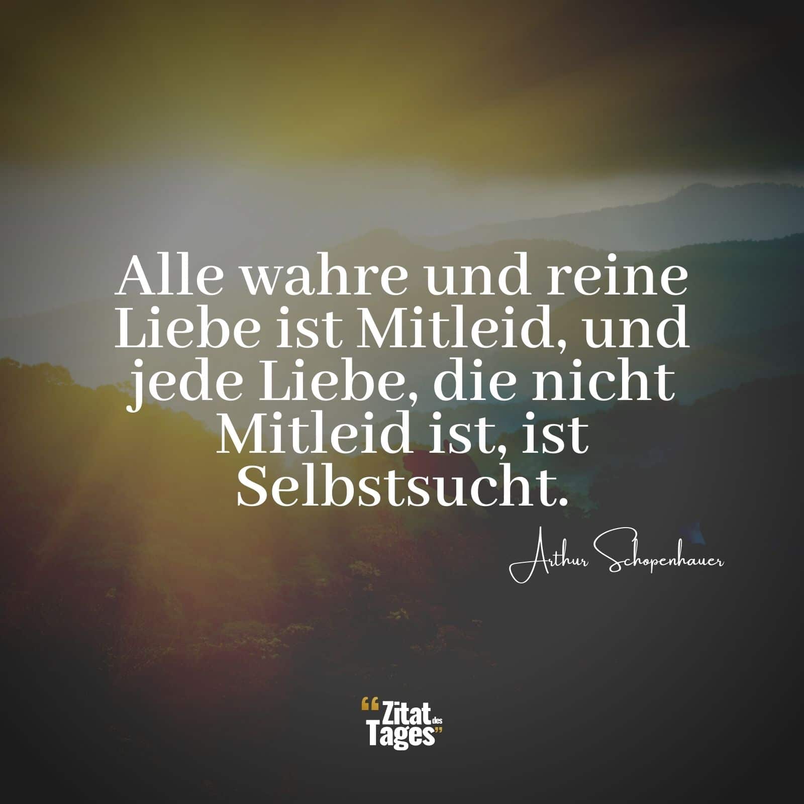 Alle wahre und reine Liebe ist Mitleid, und jede Liebe, die nicht Mitleid ist, ist Selbstsucht. - Arthur Schopenhauer