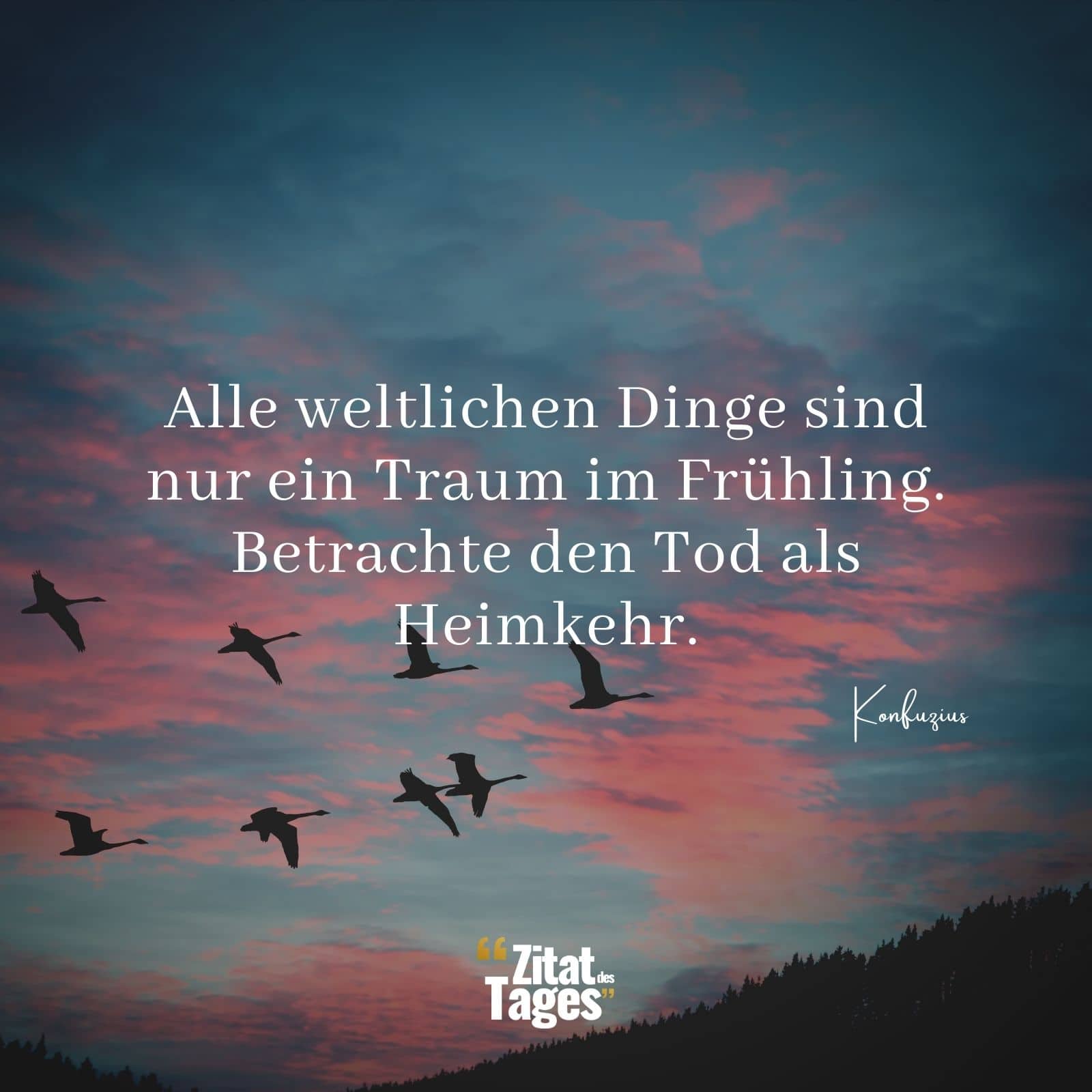 Alle weltlichen Dinge sind nur ein Traum im Frühling. Betrachte den Tod als Heimkehr. - Konfuzius