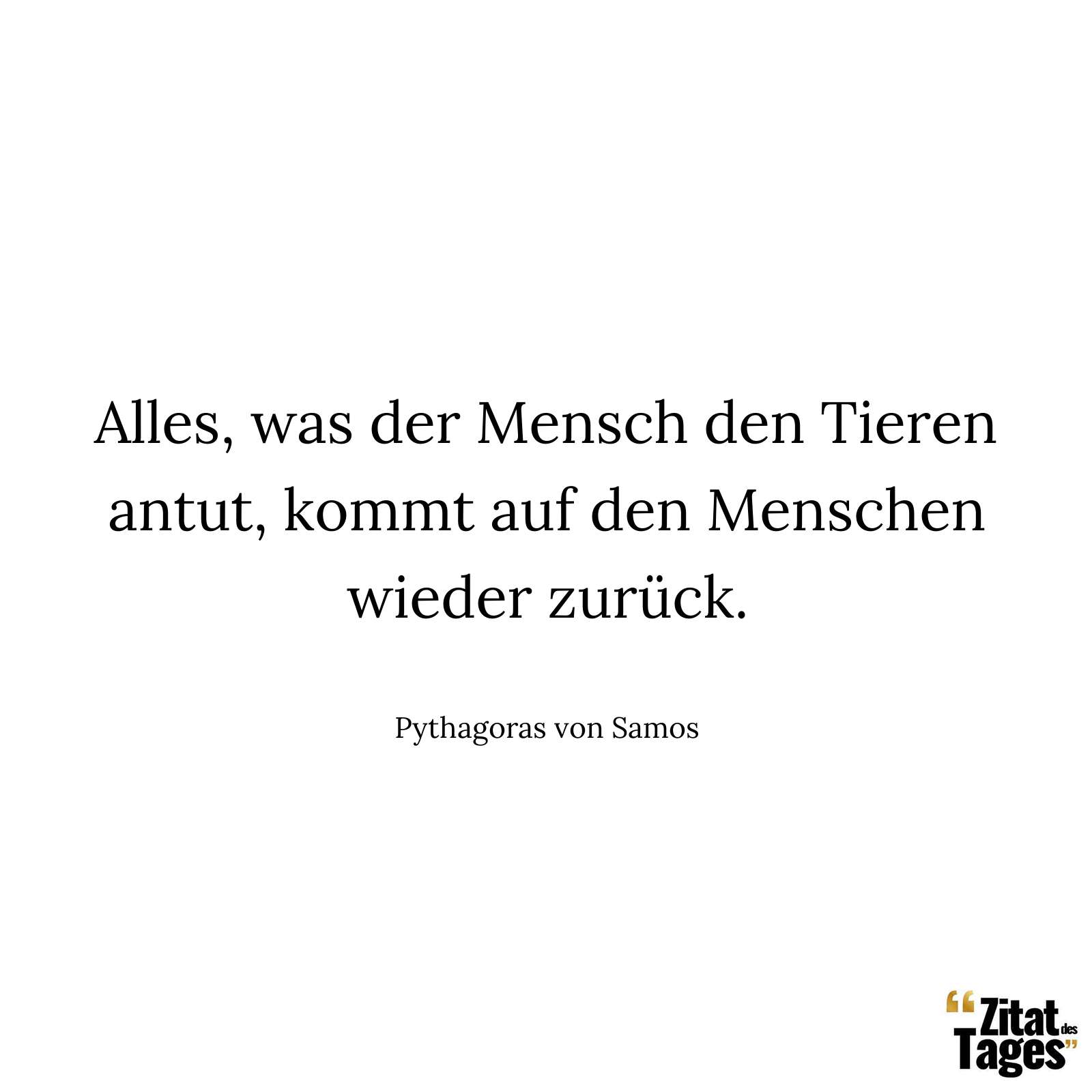 Alles, was der Mensch den Tieren antut, kommt auf den Menschen wieder zurück. - Pythagoras von Samos