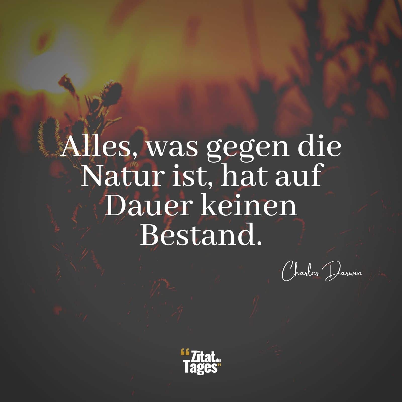 Alles, was gegen die Natur ist, hat auf Dauer keinen Bestand. - Charles Darwin