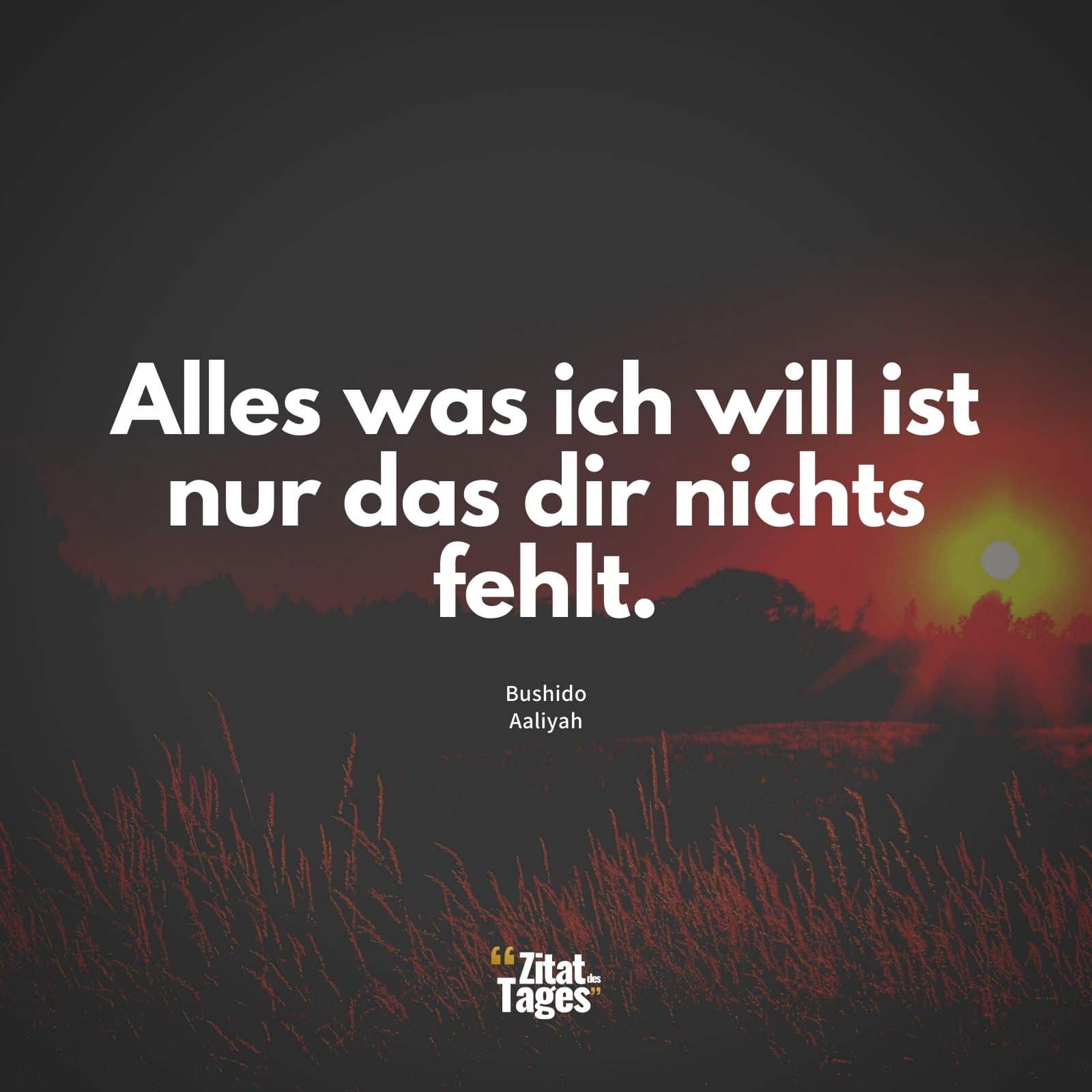 Alles was ich will ist nur das dir nichts fehlt. - Bushido