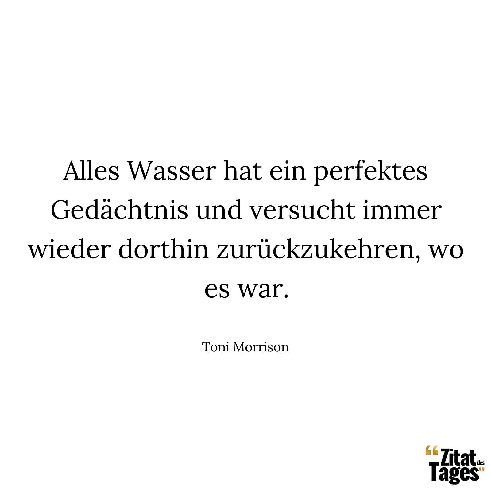 Alles Wasser hat ein perfektes Gedächtnis und versucht immer wieder dorthin zurückzukehren, wo es war. - Toni Morrison