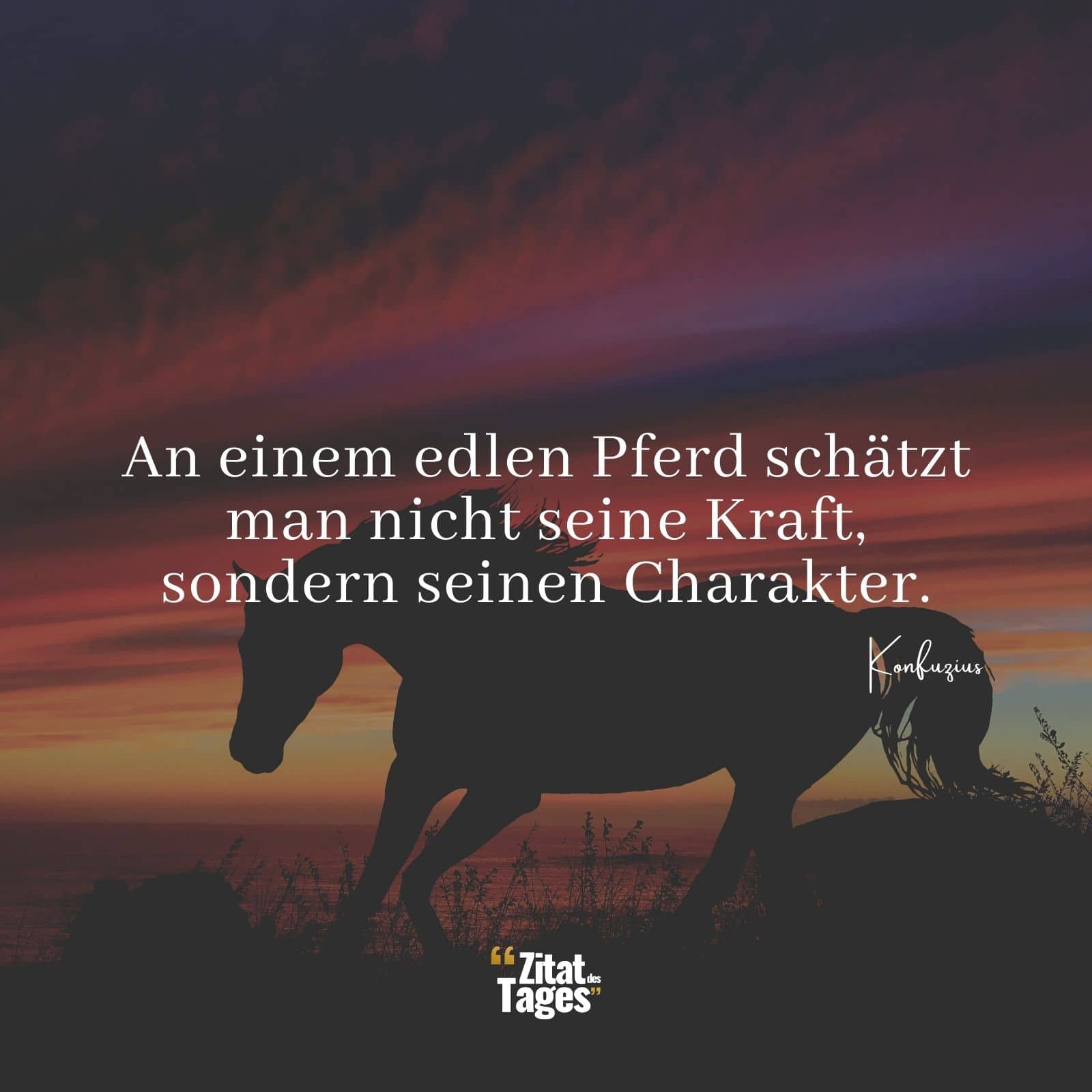 An einem edlen Pferd schätzt man nicht seine Kraft, sondern seinen Charakter. - Konfuzius