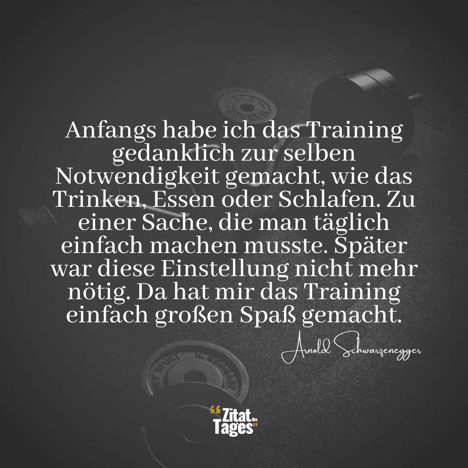 Anfangs habe ich das Training gedanklich zur selben Notwendigkeit gemacht, wie das Trinken, Essen oder Schlafen. Zu einer Sache, die man täglich einfach machen musste. Später war diese Einstellung nicht mehr nötig. Da hat mir das Training einfach großen Spaß gemacht. - Arnold Schwarzenegger