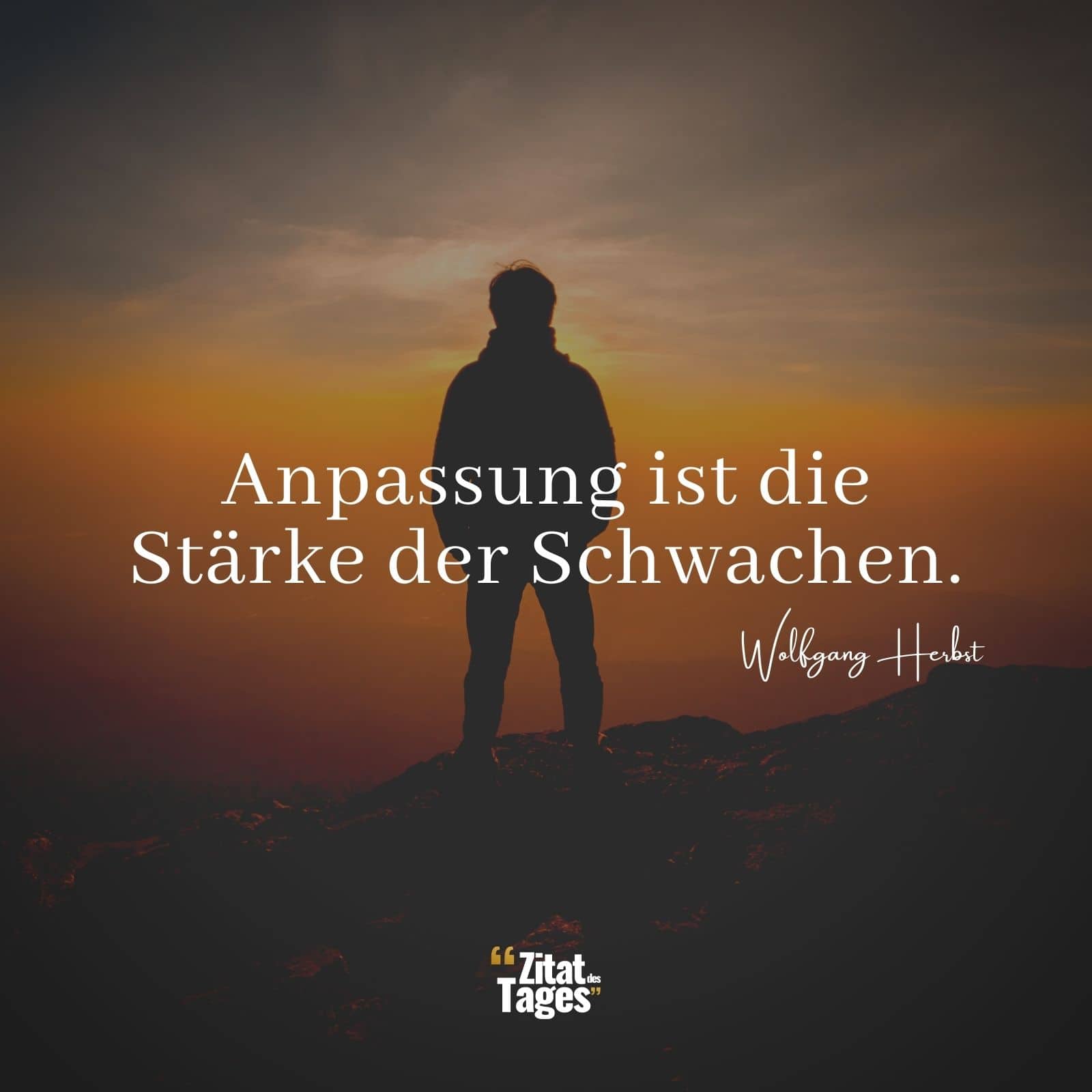 Anpassung ist die Stärke der Schwachen. - Wolfgang Herbst