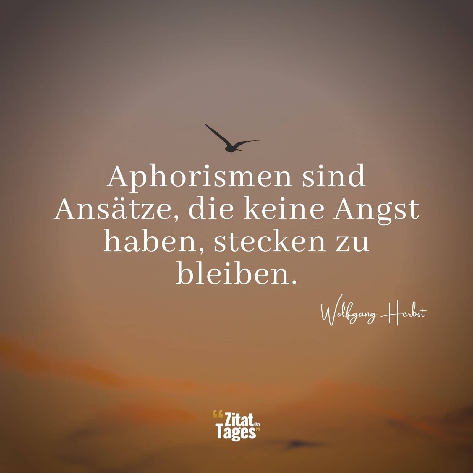 Aphorismen sind Ansätze, die keine Angst haben, stecken zu bleiben. - Wolfgang Herbst