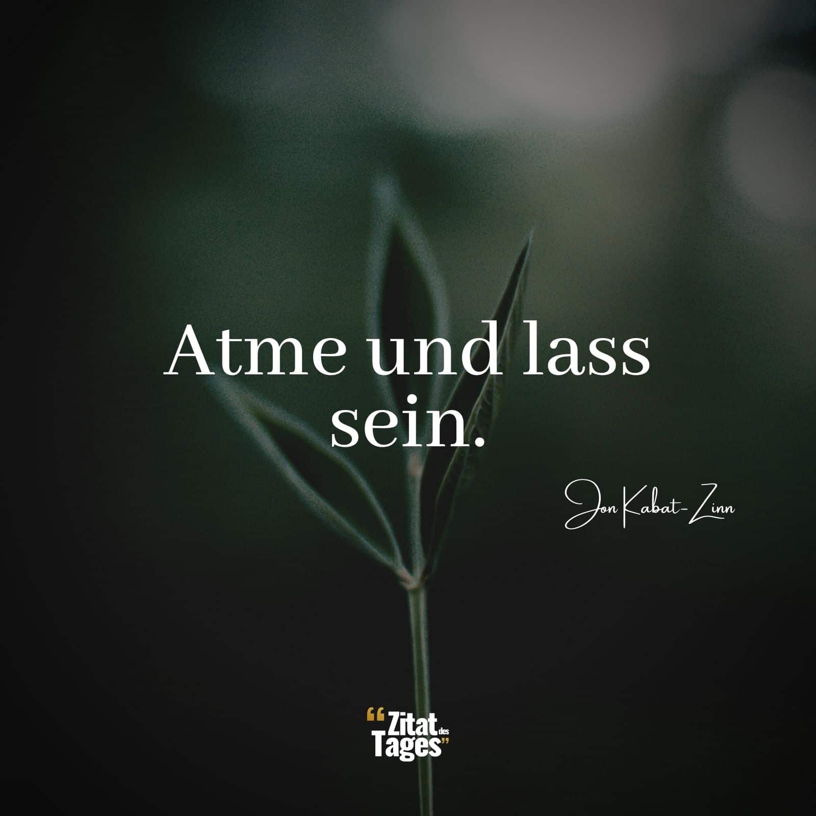 Atme und lass sein. - Jon Kabat-Zinn