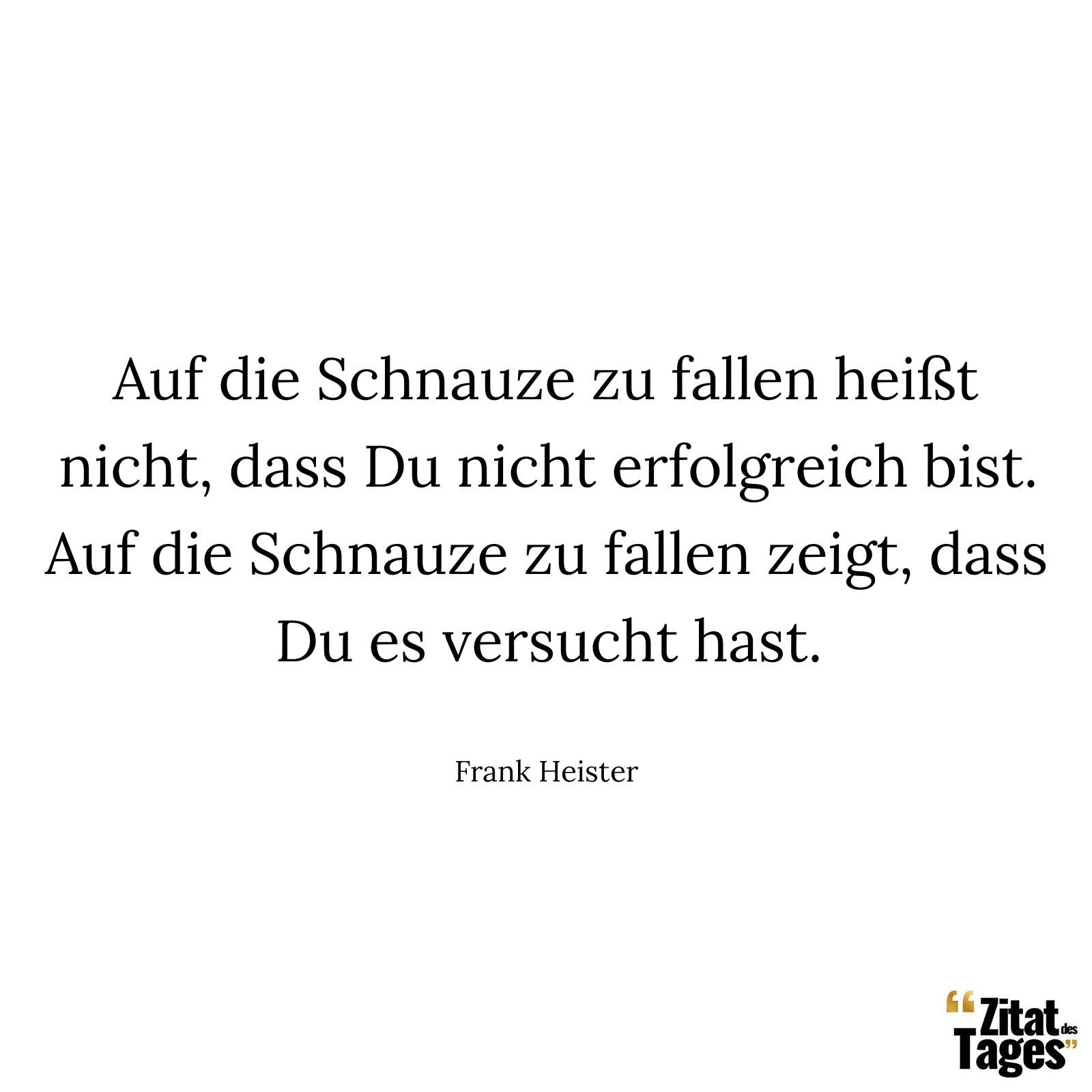 Auf die Schnauze zu fallen heißt nicht, dass Du nicht erfolgreich bist. Auf die Schnauze zu fallen zeigt, dass Du es versucht hast. - Frank Heister