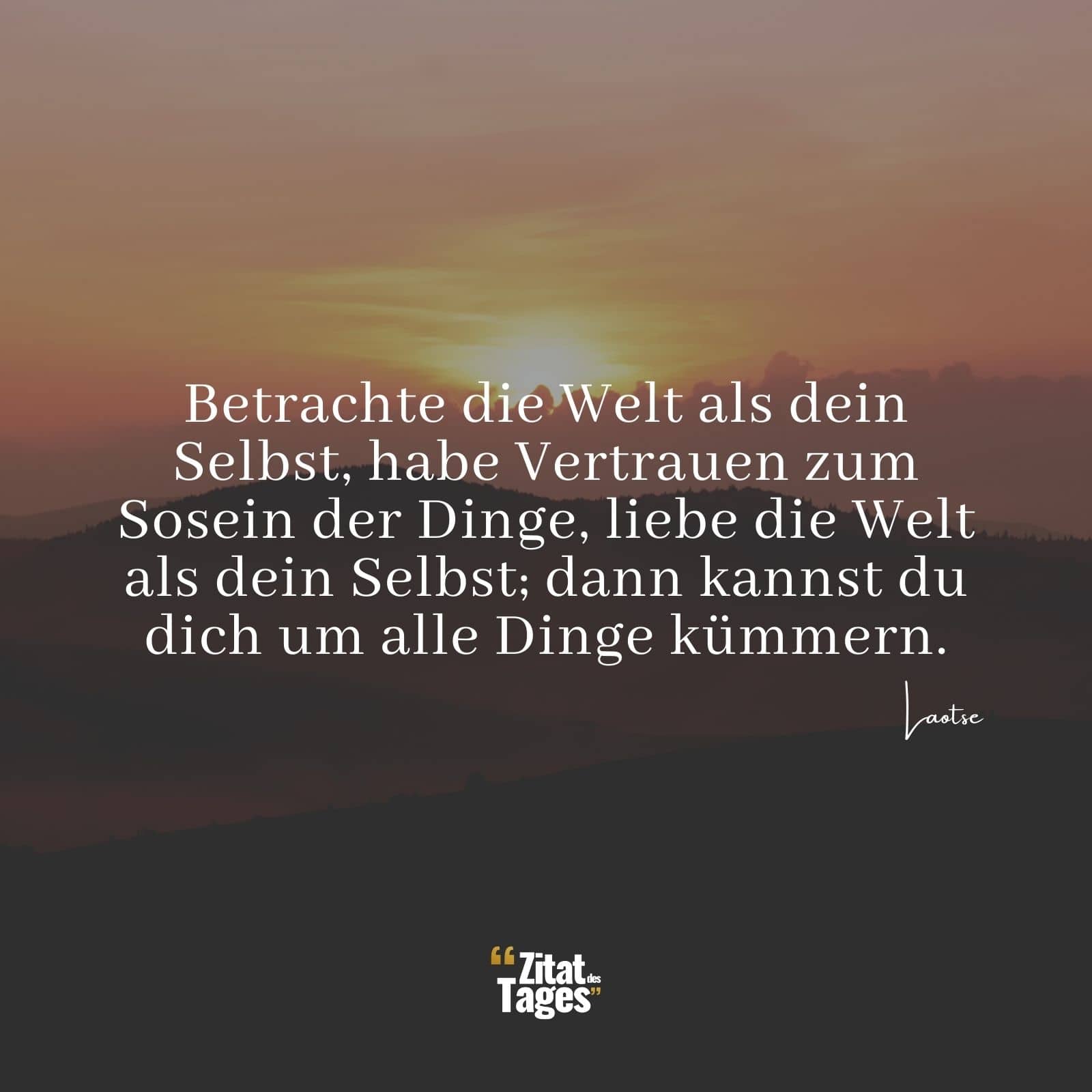 Betrachte die Welt als dein Selbst, habe Vertrauen zum Sosein der Dinge, liebe die Welt als dein Selbst; dann kannst du dich um alle Dinge kümmern. - Laotse