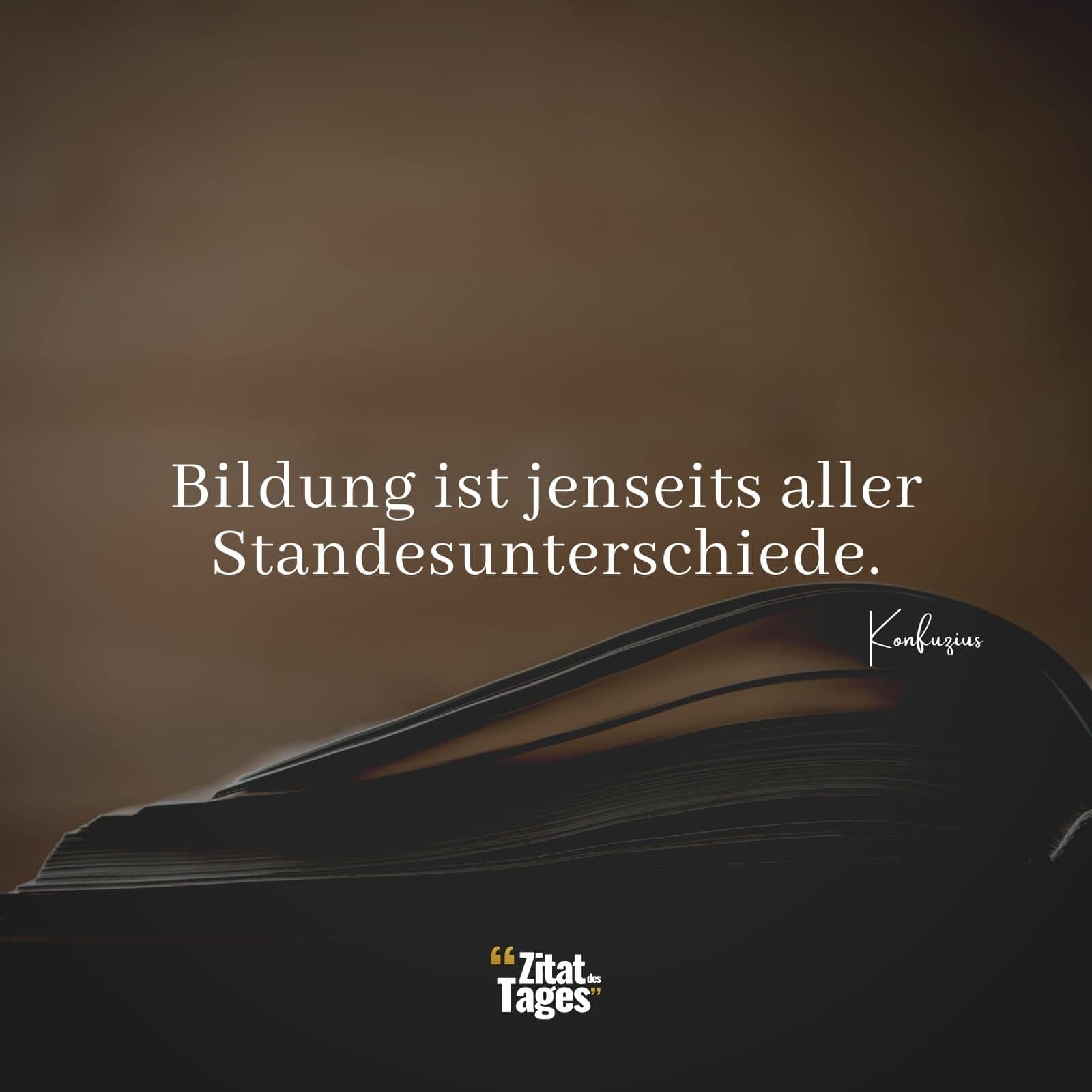 Bildung ist jenseits aller Standesunterschiede. - Konfuzius