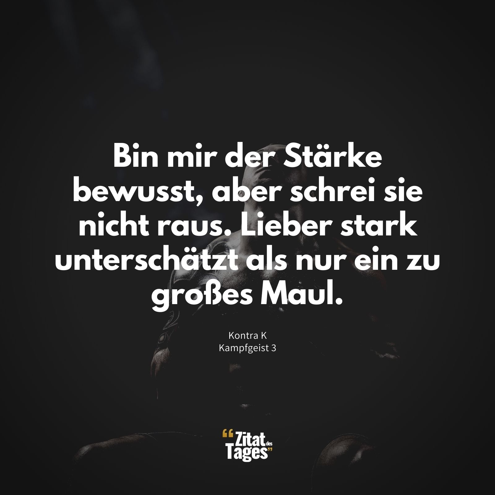 Bin mir der Stärke bewusst, aber schrei sie nicht raus. Lieber stark unterschätzt als nur ein zu großes Maul. - Kontra K