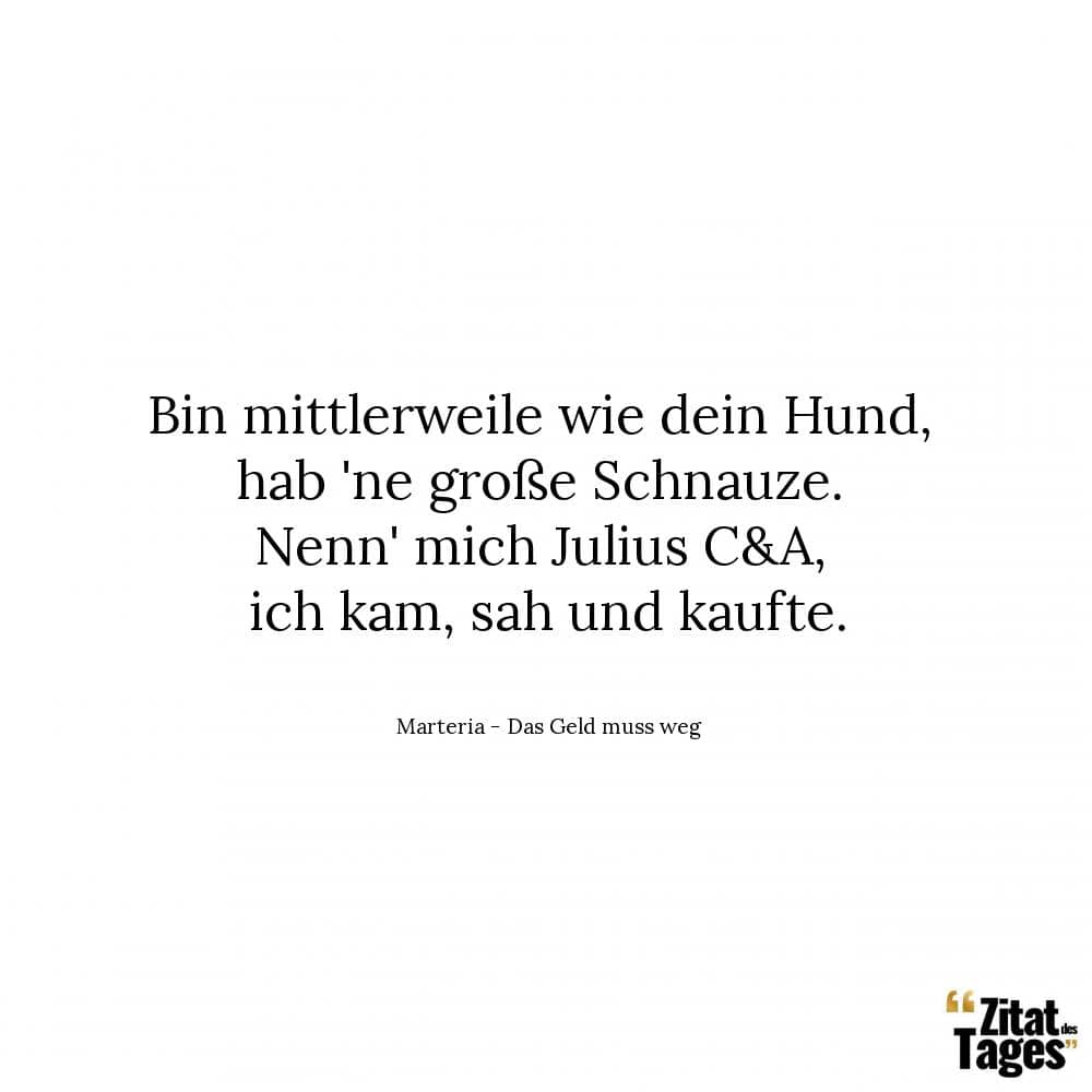 Bin mittlerweile wie dein Hund, hab 'ne große Schnauze. Nenn' mich Julius C&A, ich kam, sah und kaufte. - Marteria