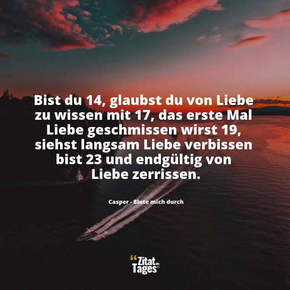 Bist du 14, glaubst du von Liebe zu wissen mit 17, das erste Mal Liebe geschmissen wirst 19, siehst langsam Liebe verbissen bist 23 und endgültig von Liebe zerrissen. - Casper