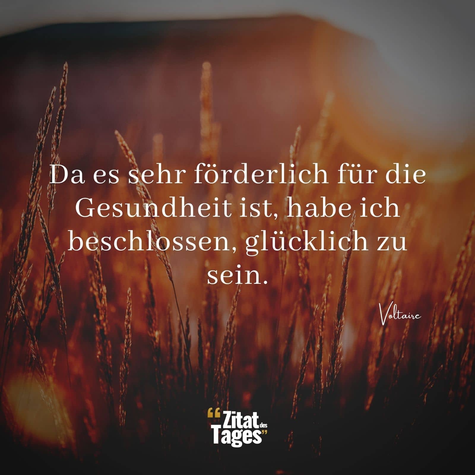 Da es sehr förderlich für die Gesundheit ist, habe ich beschlossen, glücklich zu sein. - Voltaire