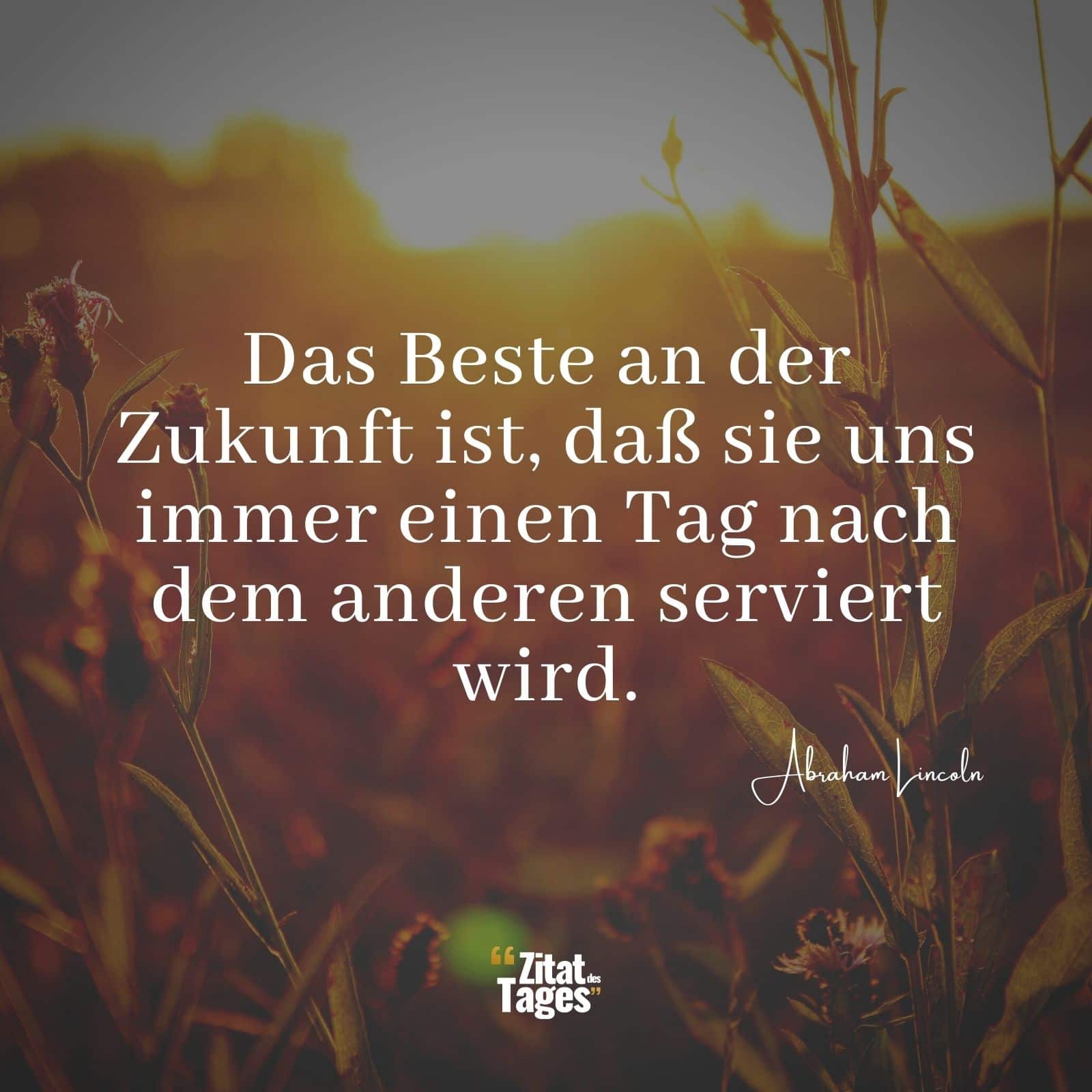 Das Beste an der Zukunft ist, daß sie uns immer einen Tag nach dem anderen serviert wird. - Abraham Lincoln