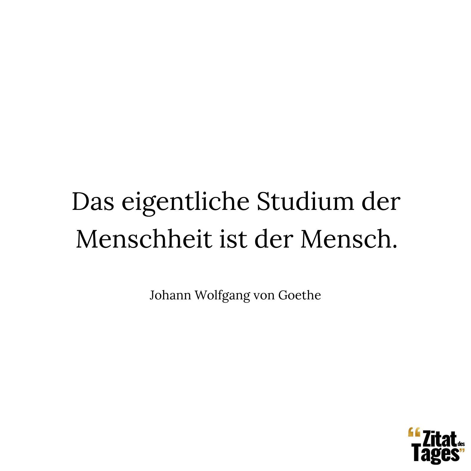 Das eigentliche Studium der Menschheit ist der Mensch. - Johann Wolfgang von Goethe