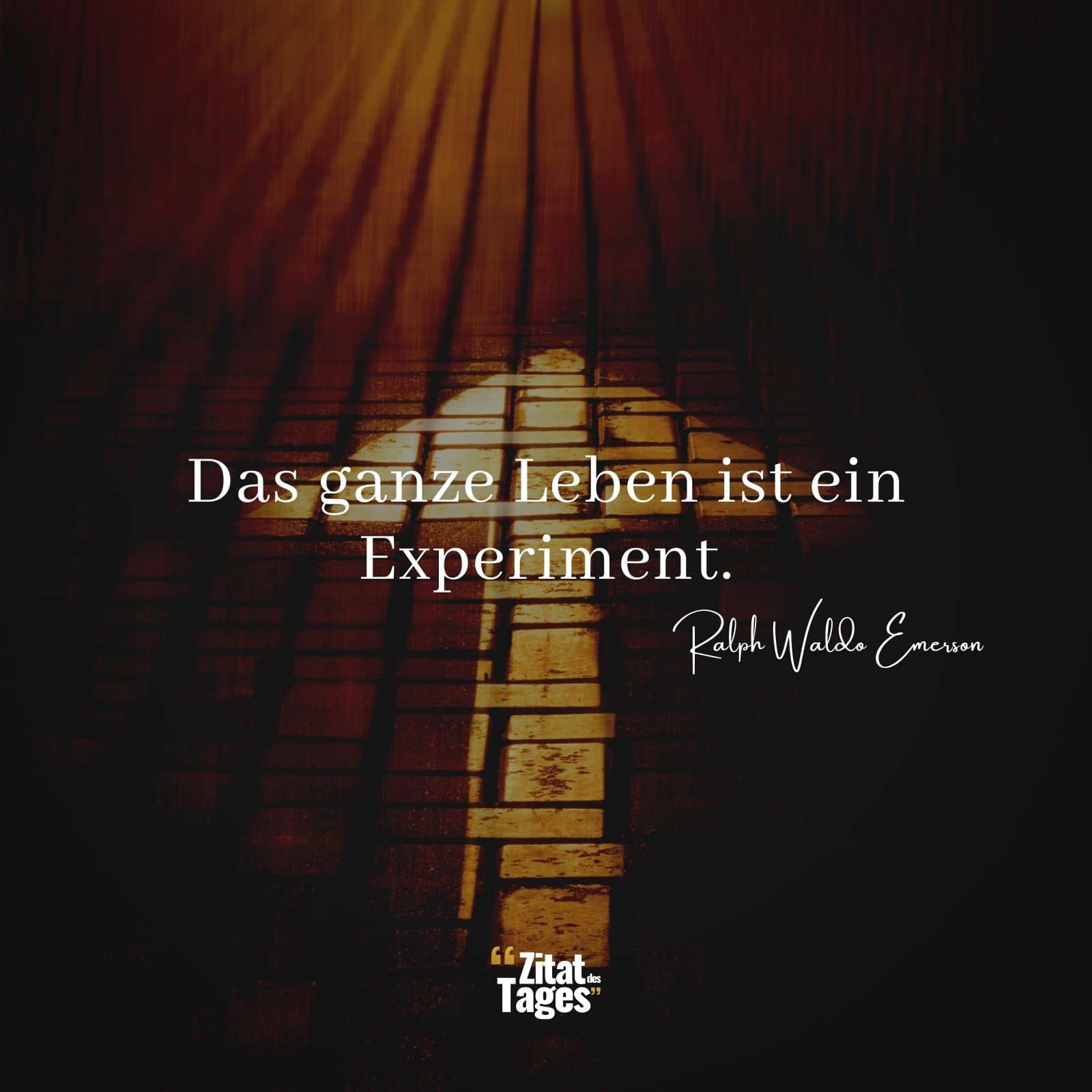 Das ganze Leben ist ein Experiment. - Ralph Waldo Emerson