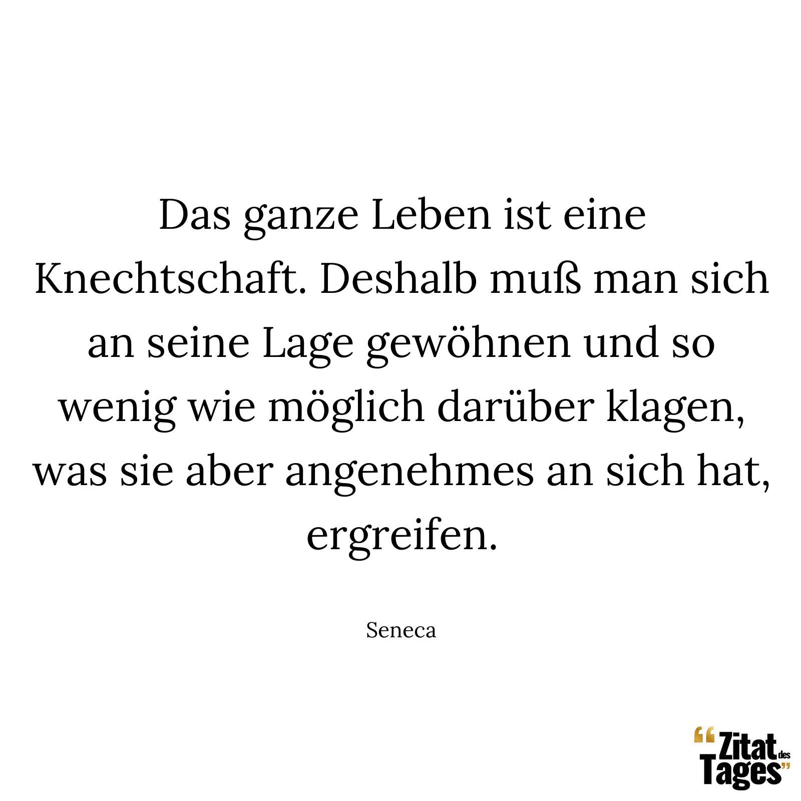 Das ganze Leben ist eine Knechtschaft. Deshalb muß man sich an seine Lage gewöhnen und so wenig wie möglich darüber klagen, was sie aber angenehmes an sich hat, ergreifen. - Seneca