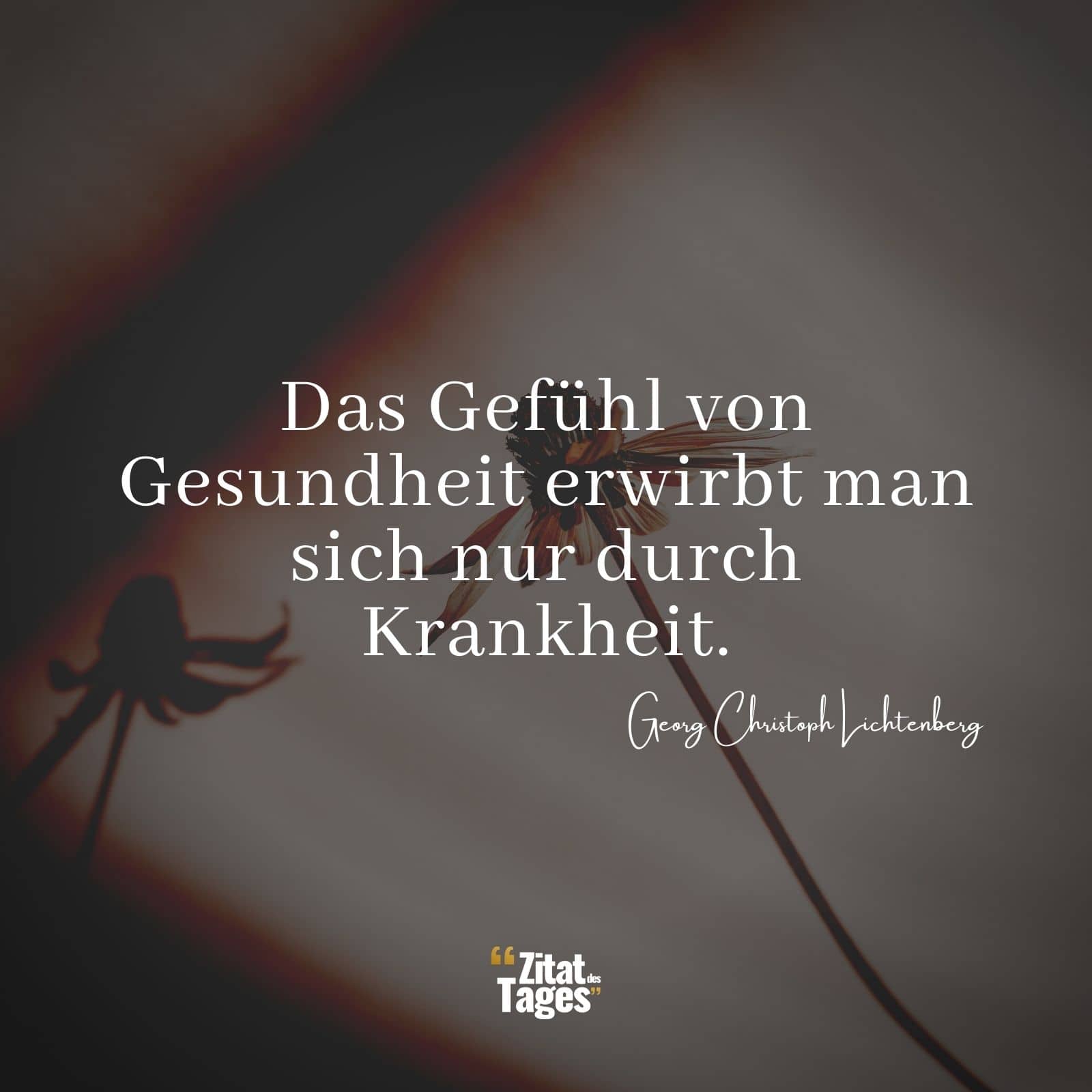 Das Gefühl von Gesundheit erwirbt man sich nur durch Krankheit. - Georg Christoph Lichtenberg