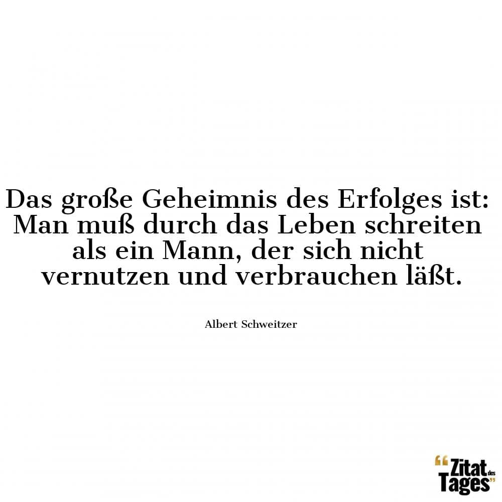 Das große Geheimnis des Erfolges ist: Man muß durch das Leben schreiten als ein Mann, der sich nicht vernutzen und verbrauchen läßt. - Albert Schweitzer