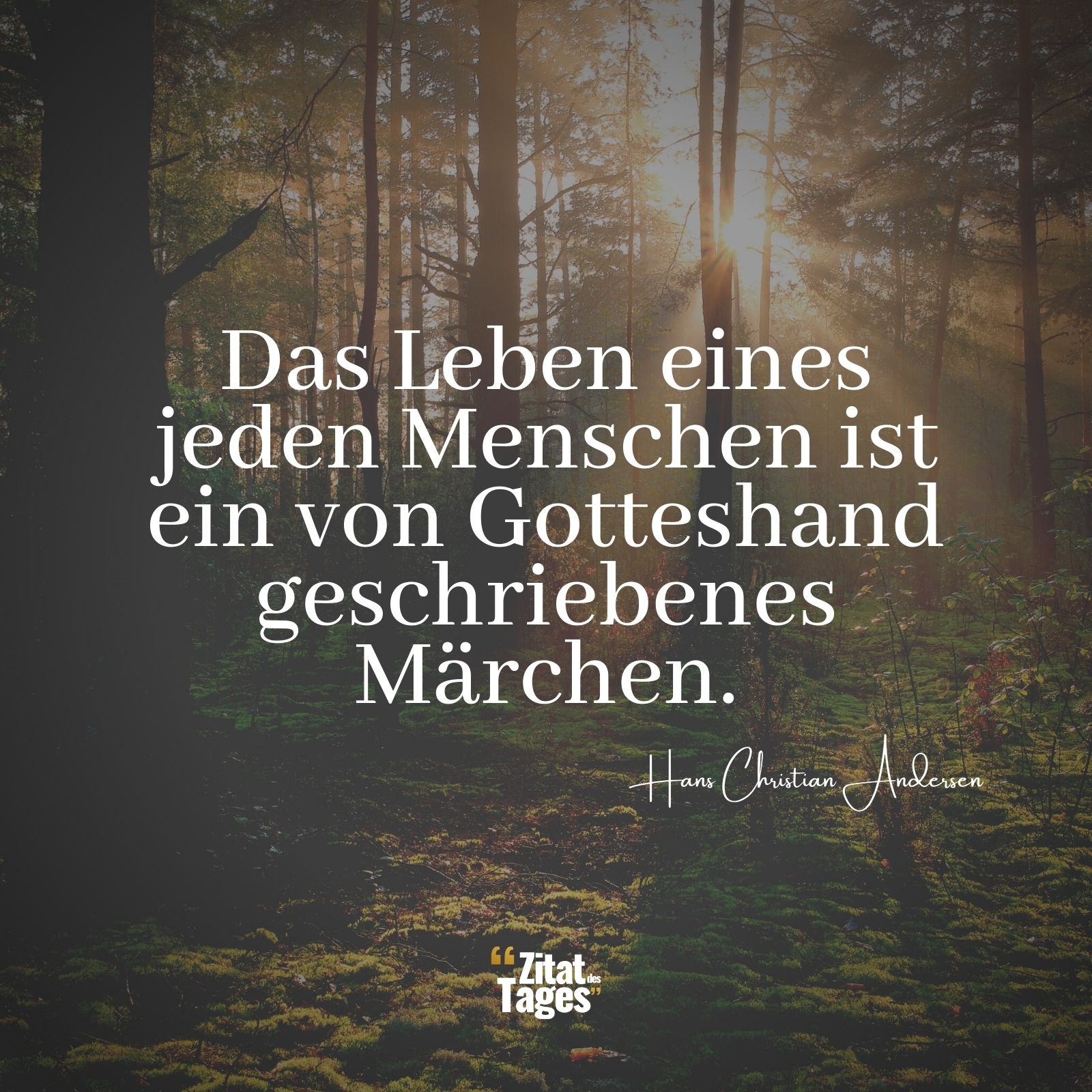 Das Leben eines jeden Menschen ist ein von Gotteshand geschriebenes Märchen. - Hans Christian Andersen