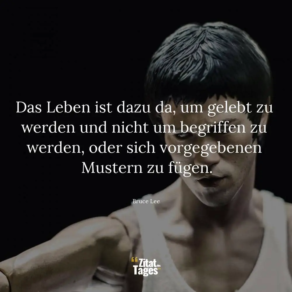 Das Leben ist dazu da, um gelebt zu werden und nicht um begriffen zu werden, oder sich vorgegebenen Mustern zu fügen. - Bruce Lee