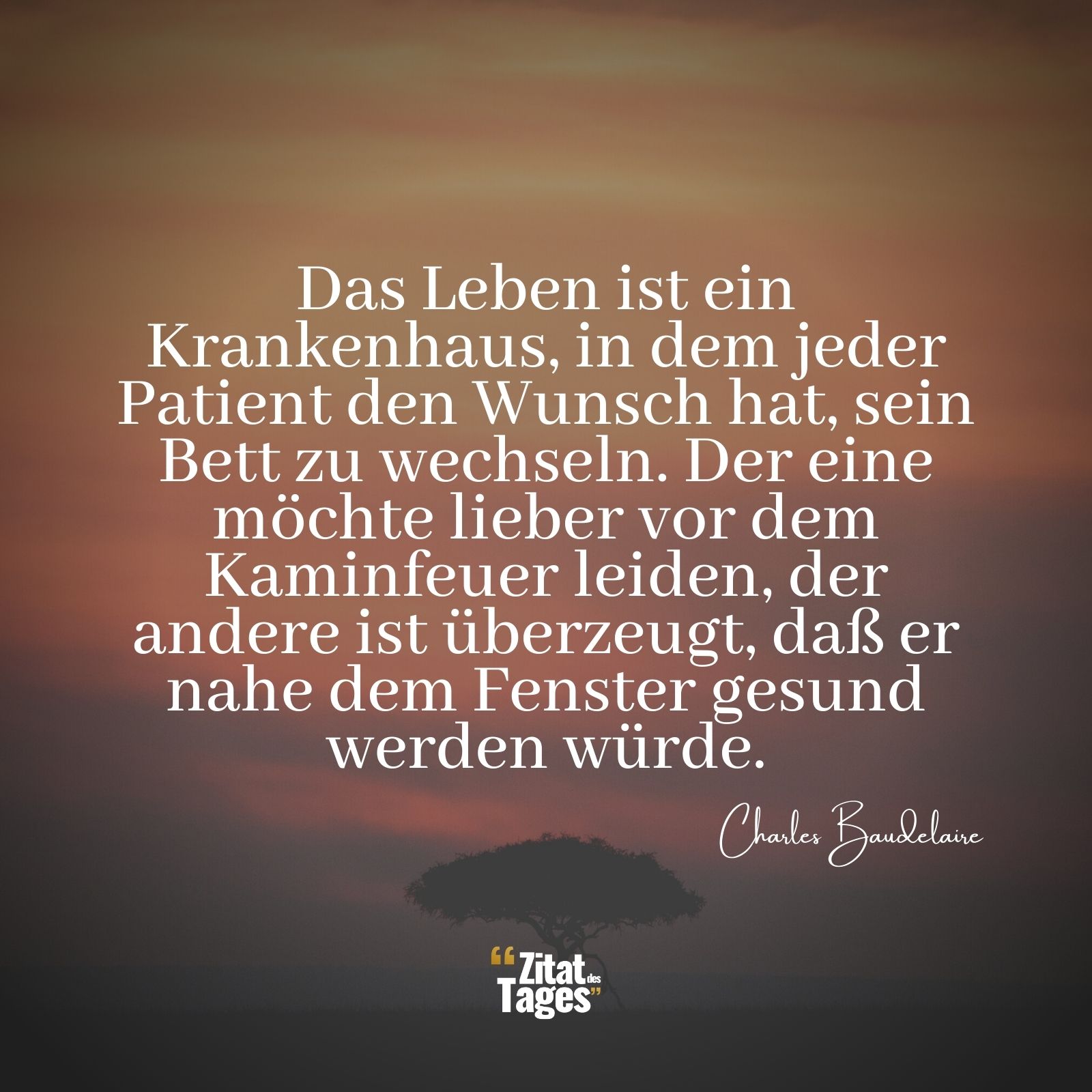 Das Leben ist ein Krankenhaus, in dem jeder Patient den Wunsch hat, sein Bett zu wechseln. Der eine möchte lieber vor dem Kaminfeuer leiden, der andere ist überzeugt, daß er nahe dem Fenster gesund werden würde. - Charles Baudelaire