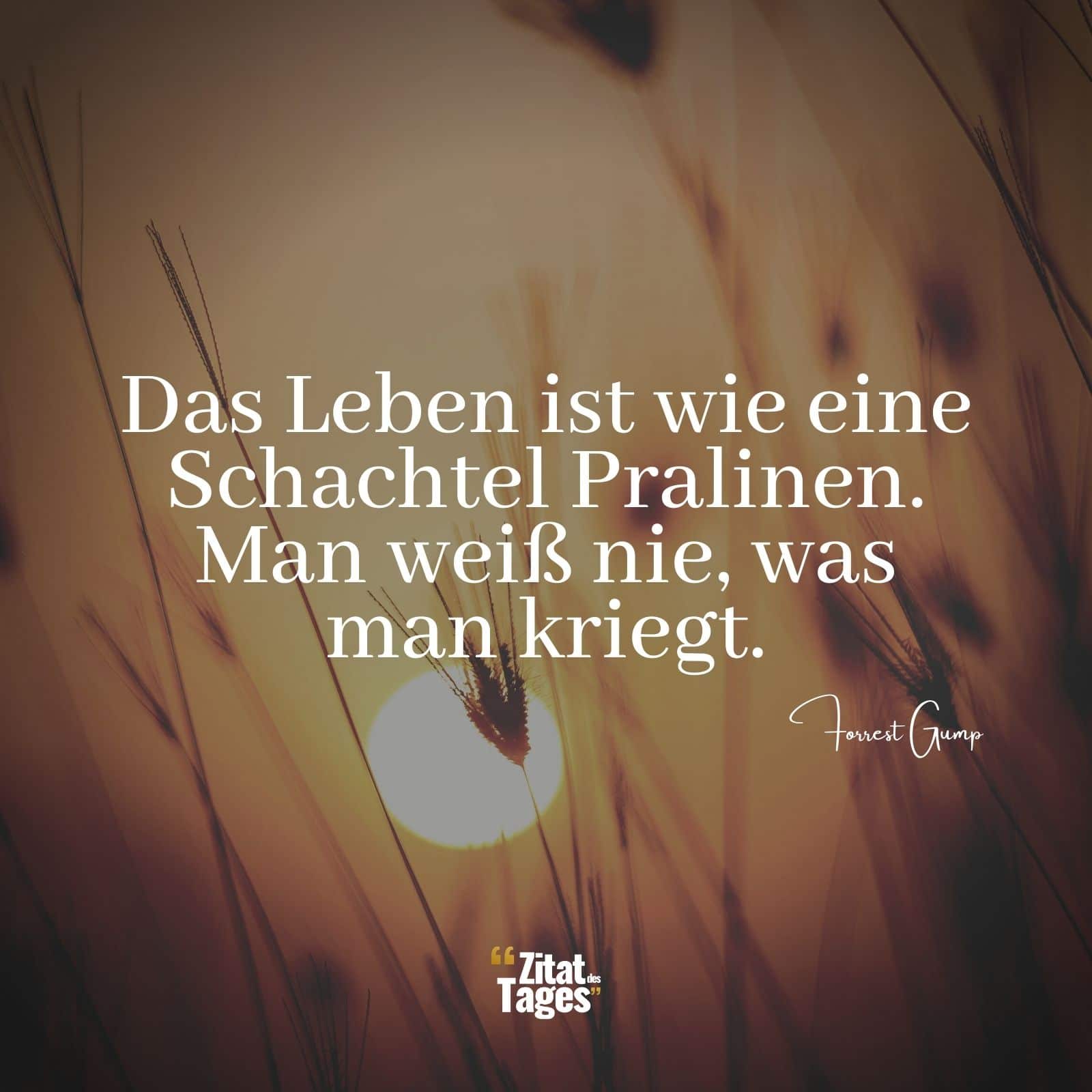 Das Leben ist wie eine Schachtel Pralinen. Man weiß nie, was man kriegt. - Forrest Gump