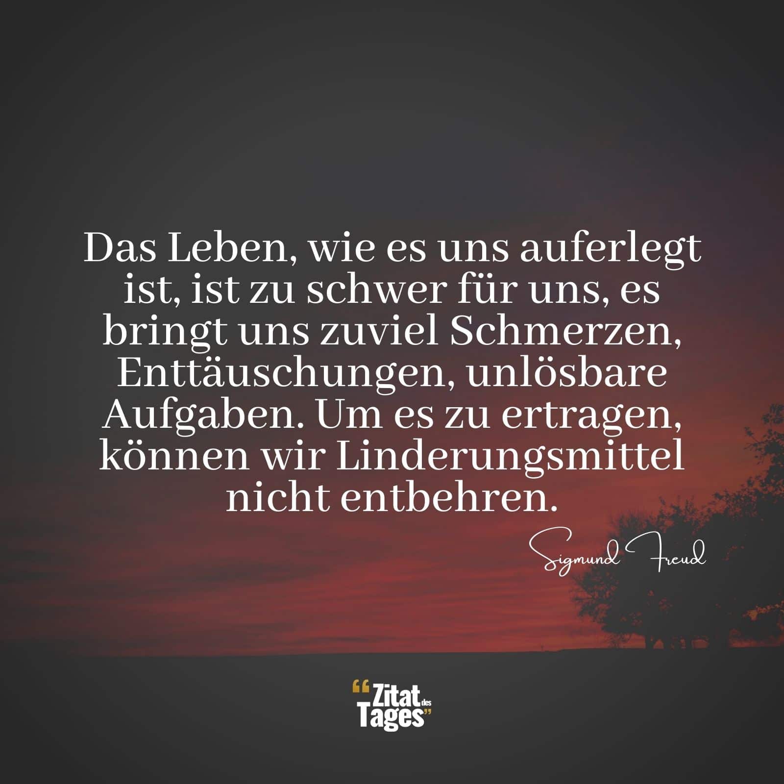 Das Leben, wie es uns auferlegt ist, ist zu schwer für uns, es bringt uns zuviel Schmerzen, Enttäuschungen, unlösbare Aufgaben. Um es zu ertragen, können wir Linderungsmittel nicht entbehren. - Sigmund Freud