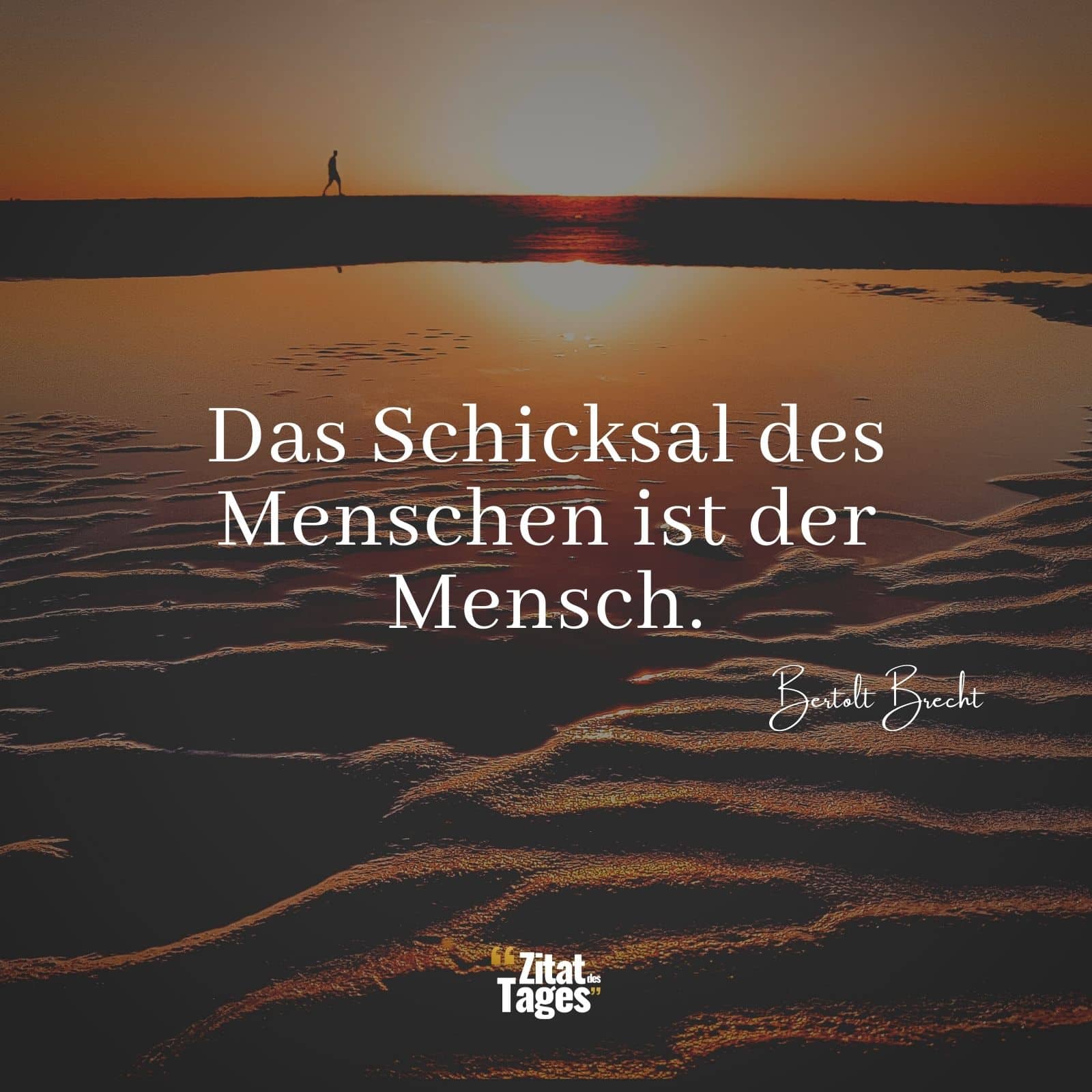 Das Schicksal des Menschen ist der Mensch. - Bertolt Brecht