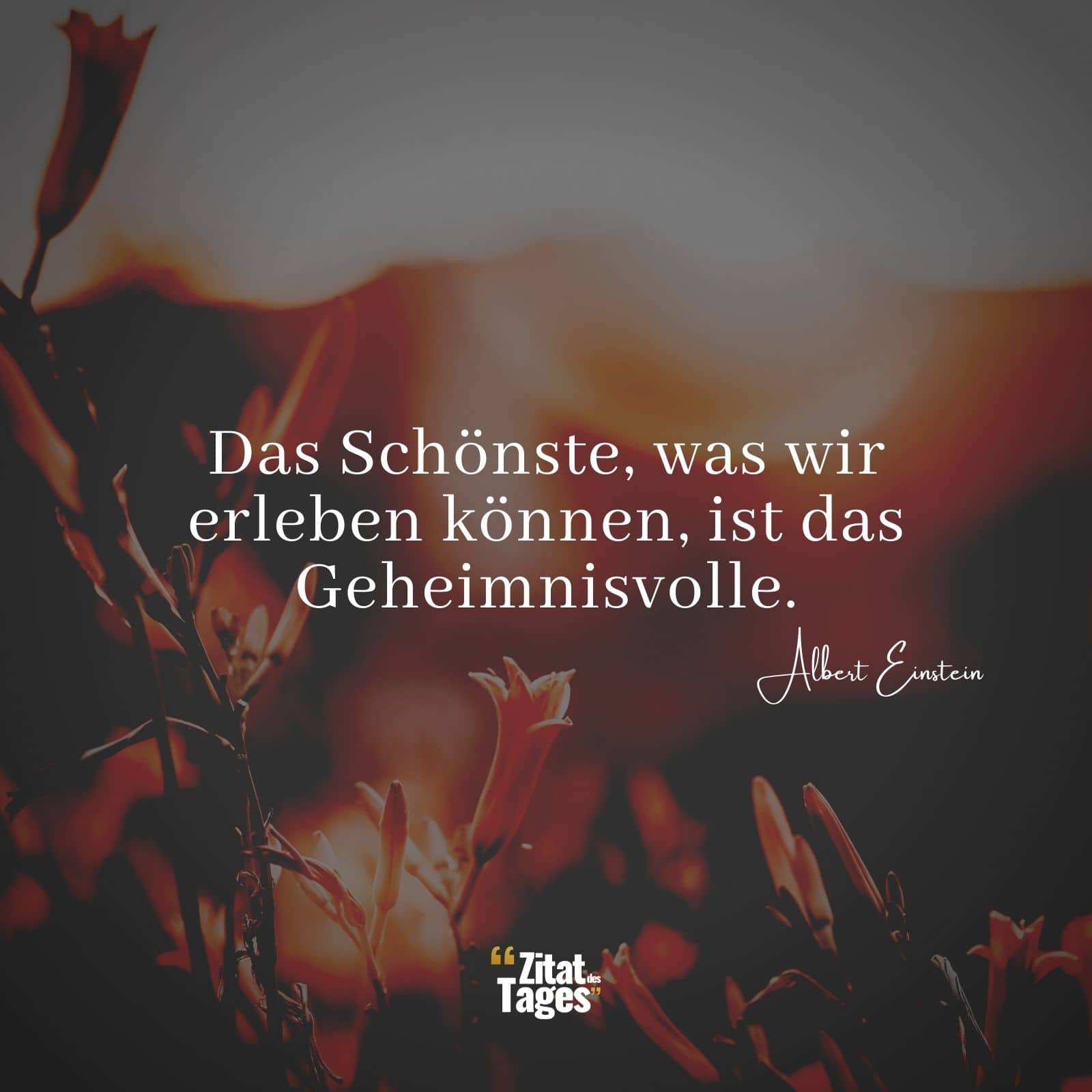 Das Schönste, was wir erleben können, ist das Geheimnisvolle. - Albert Einstein