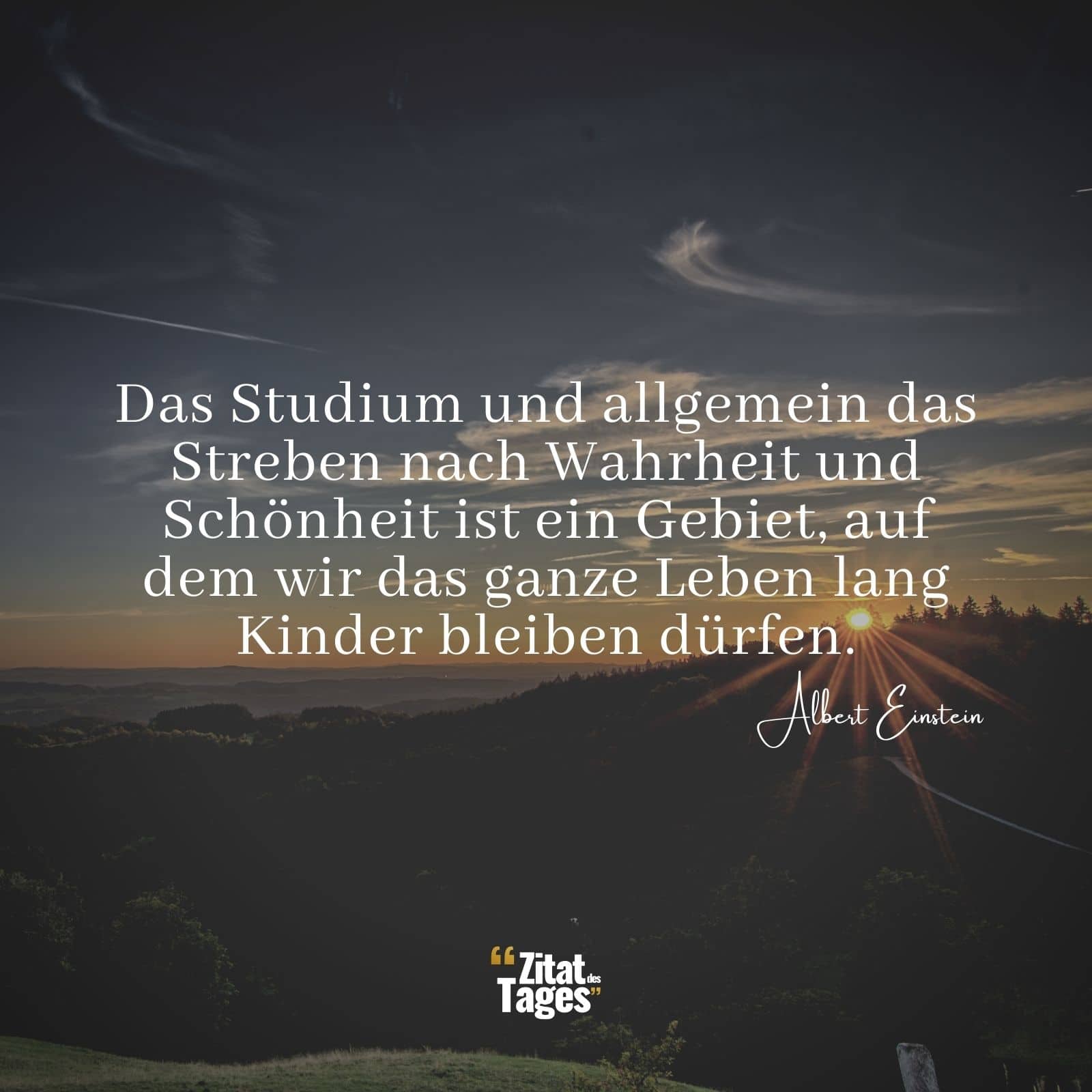 Das Studium und allgemein das Streben nach Wahrheit und Schönheit ist ein Gebiet, auf dem wir das ganze Leben lang Kinder bleiben dürfen. - Albert Einstein