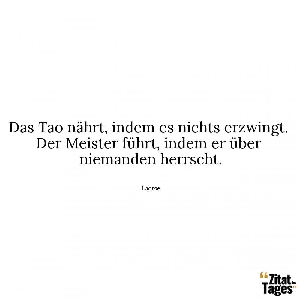 Das Tao nährt, indem es nichts erzwingt. Der Meister führt, indem er über niemanden herrscht. - Laotse