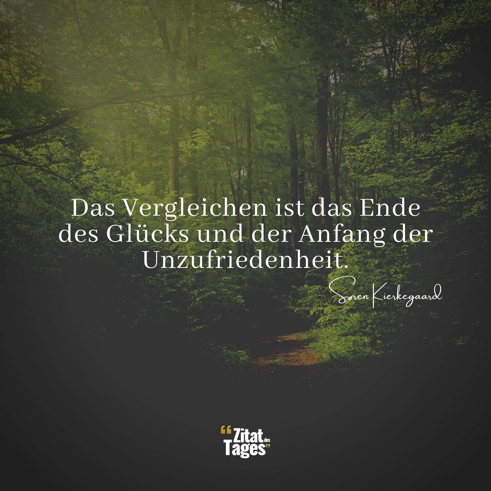 Das Vergleichen ist das Ende des Glücks und der Anfang der Unzufriedenheit. - Søren Kierkegaard