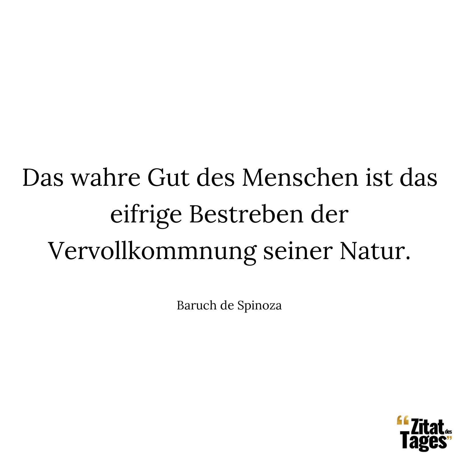 Das wahre Gut des Menschen ist das eifrige Bestreben der Vervollkommnung seiner Natur. - Baruch de Spinoza