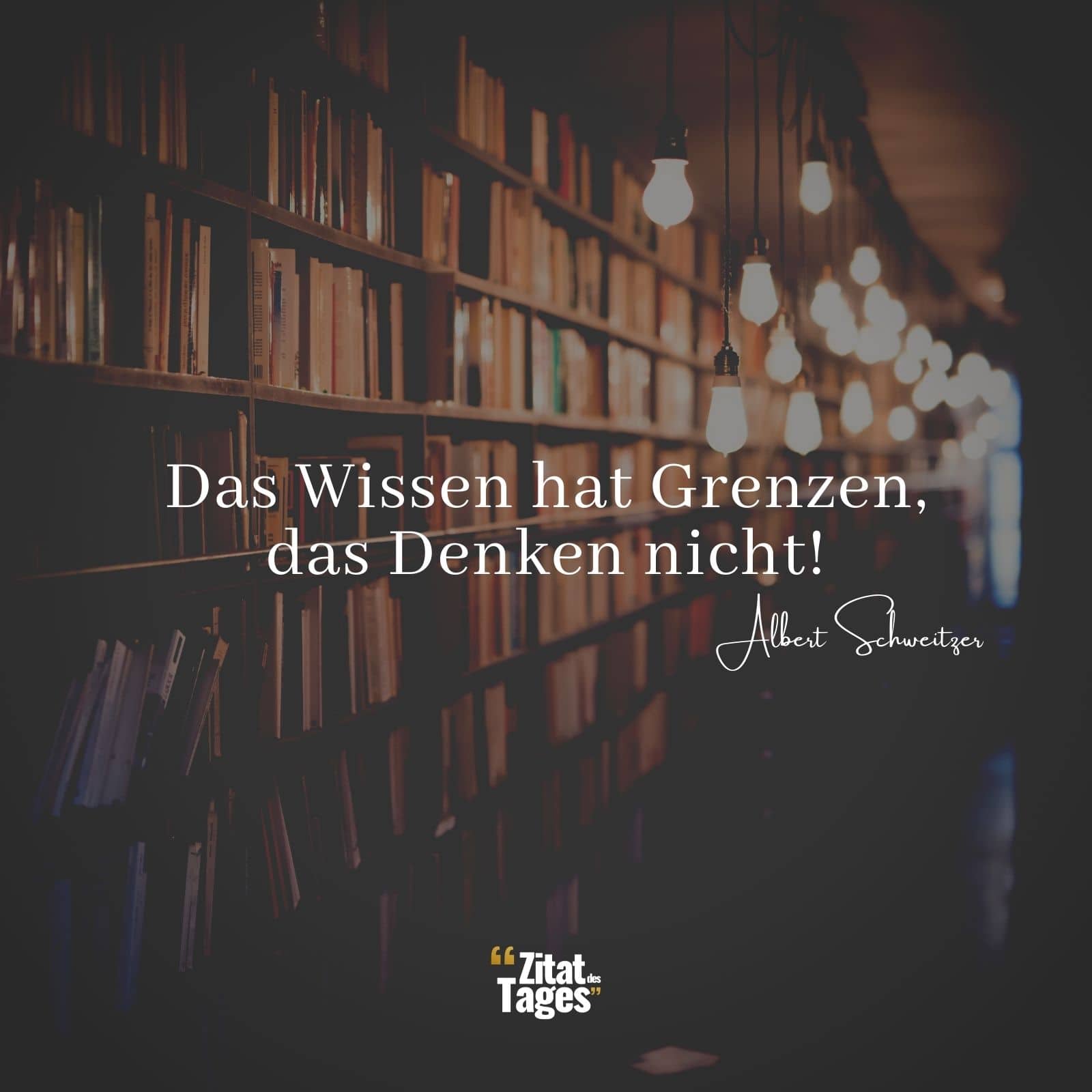 Das Wissen hat Grenzen, das Denken nicht! - Albert Schweitzer