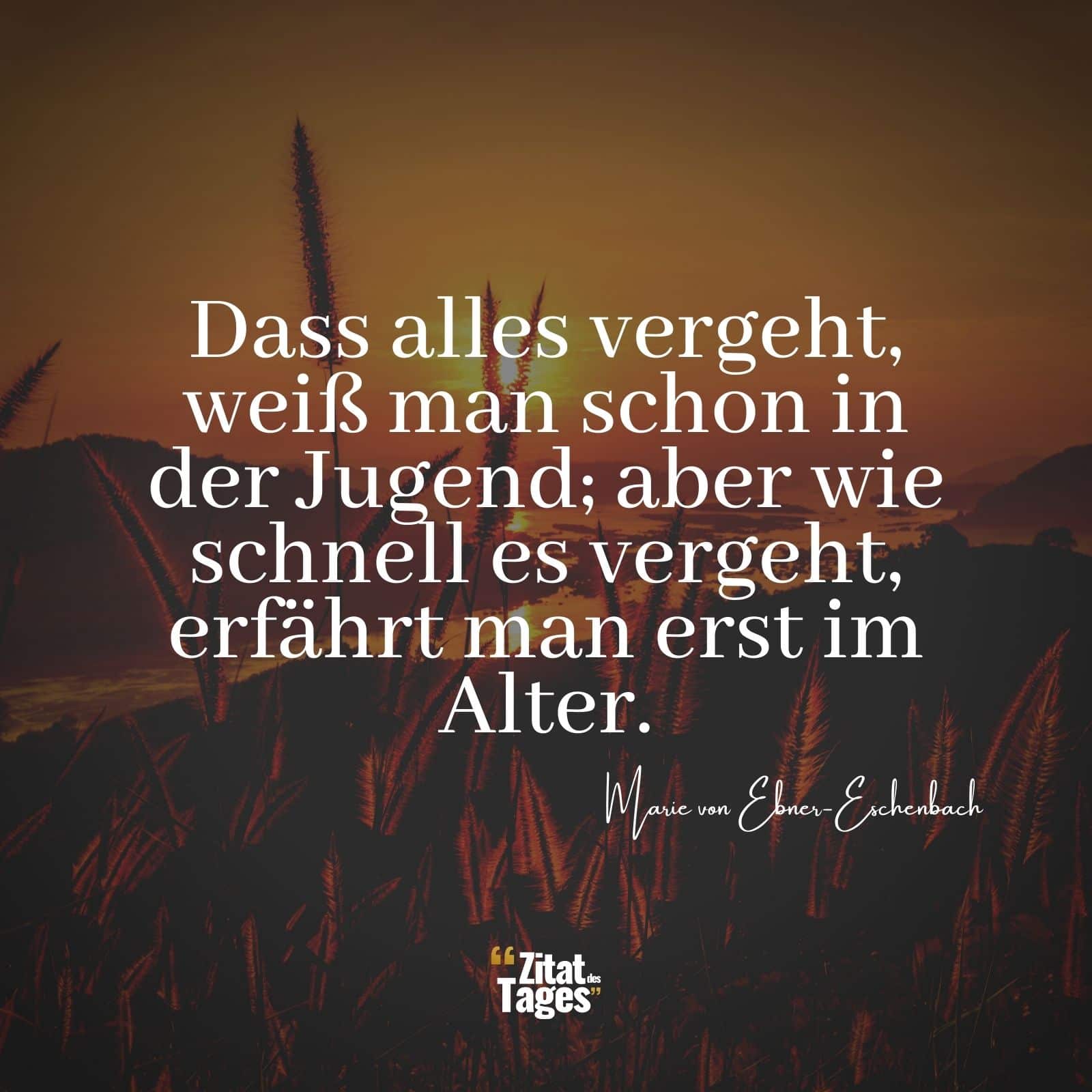 Dass alles vergeht, weiß man schon in der Jugend; aber wie schnell es vergeht, erfährt man erst im Alter. - Marie von Ebner-Eschenbach