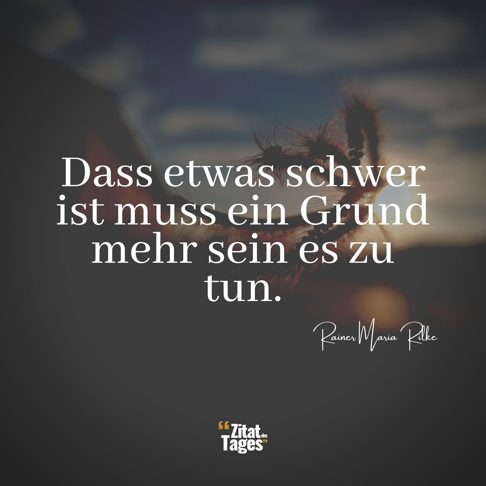 Dass etwas schwer ist muss ein Grund mehr sein es zu tun. - Rainer Maria Rilke