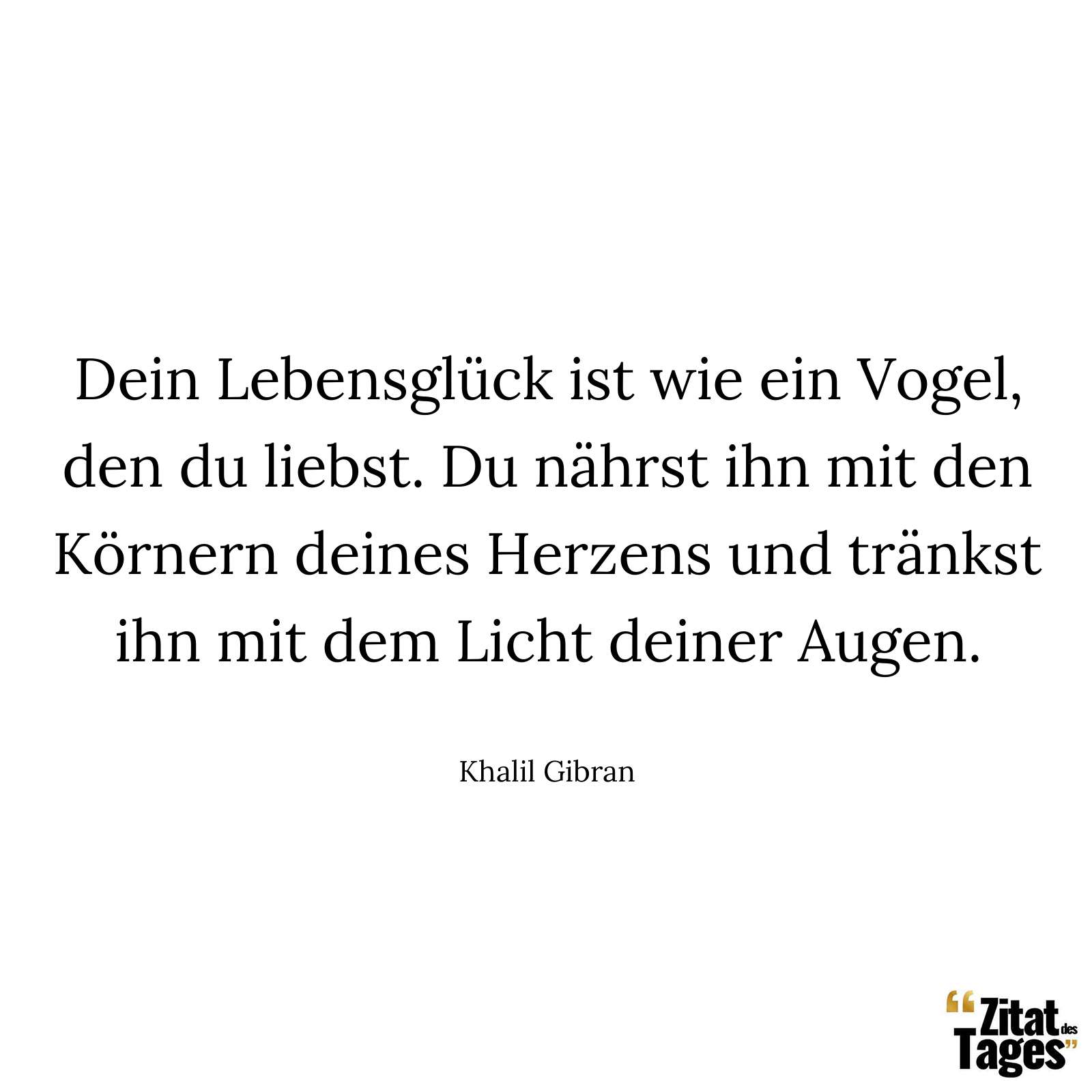 Dein Lebensglück ist wie ein Vogel, den du liebst. Du nährst ihn mit den Körnern deines Herzens und tränkst ihn mit dem Licht deiner Augen. - Khalil Gibran