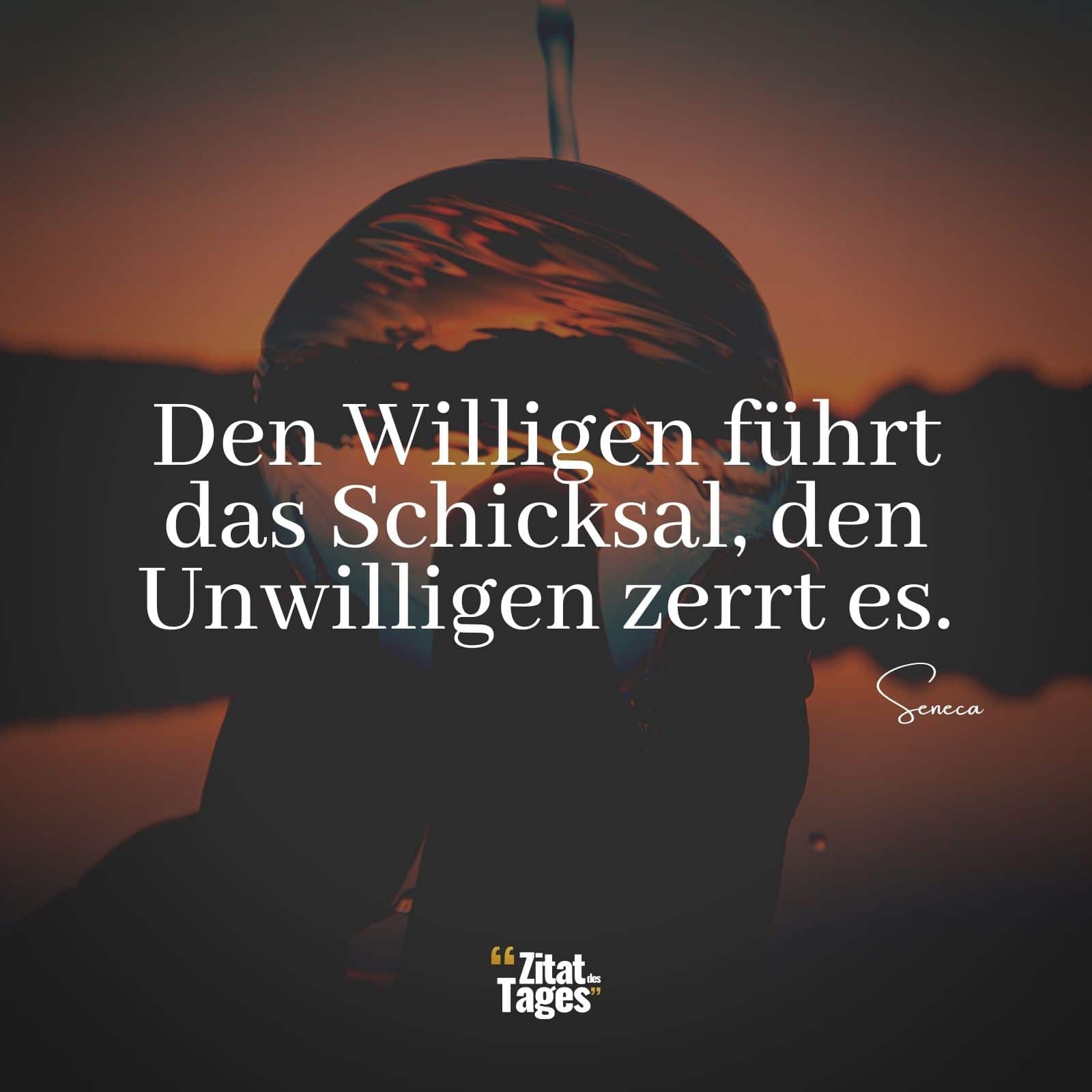 Den Willigen führt das Schicksal, den Unwilligen zerrt es. - Seneca