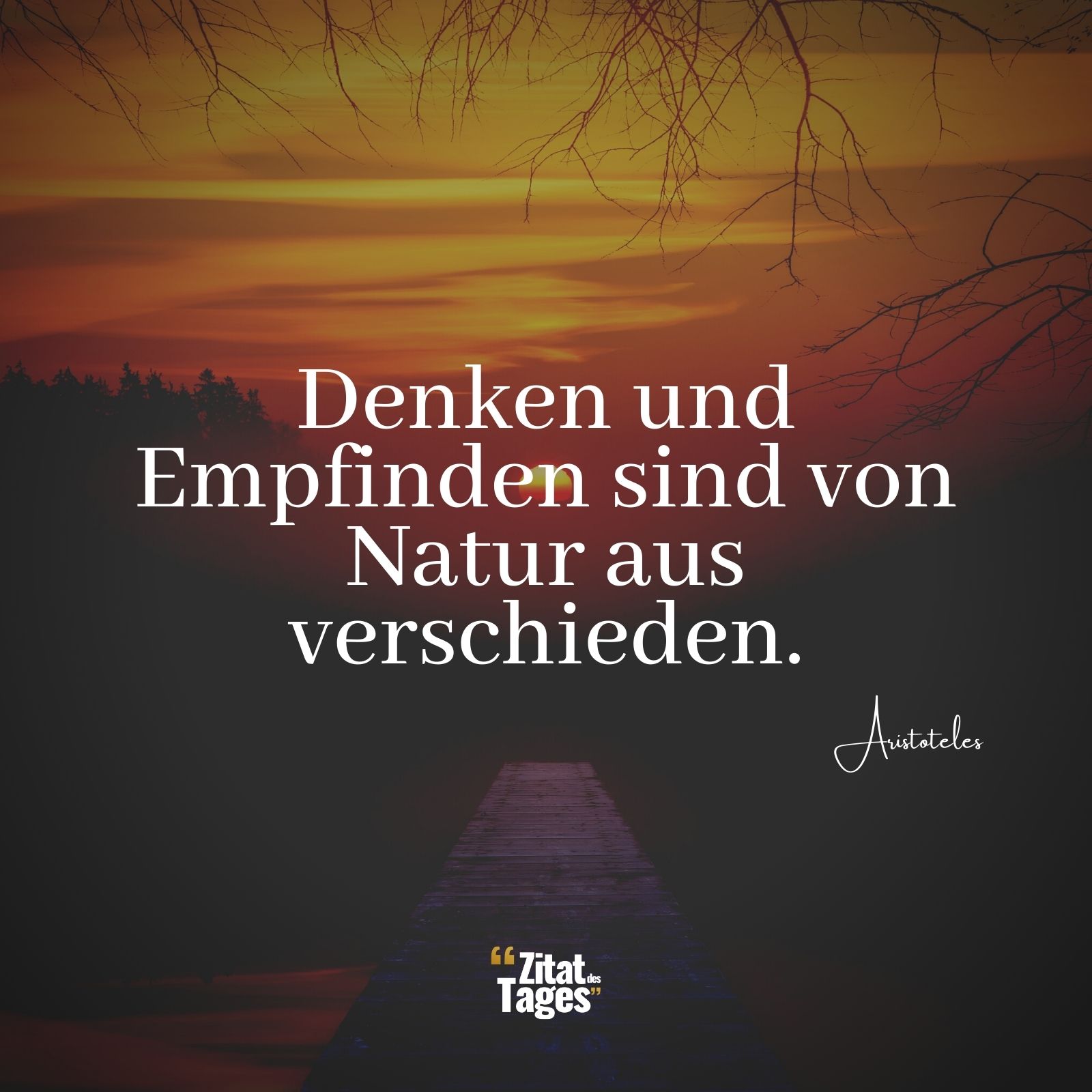 Denken und Empfinden sind von Natur aus verschieden. - Aristoteles