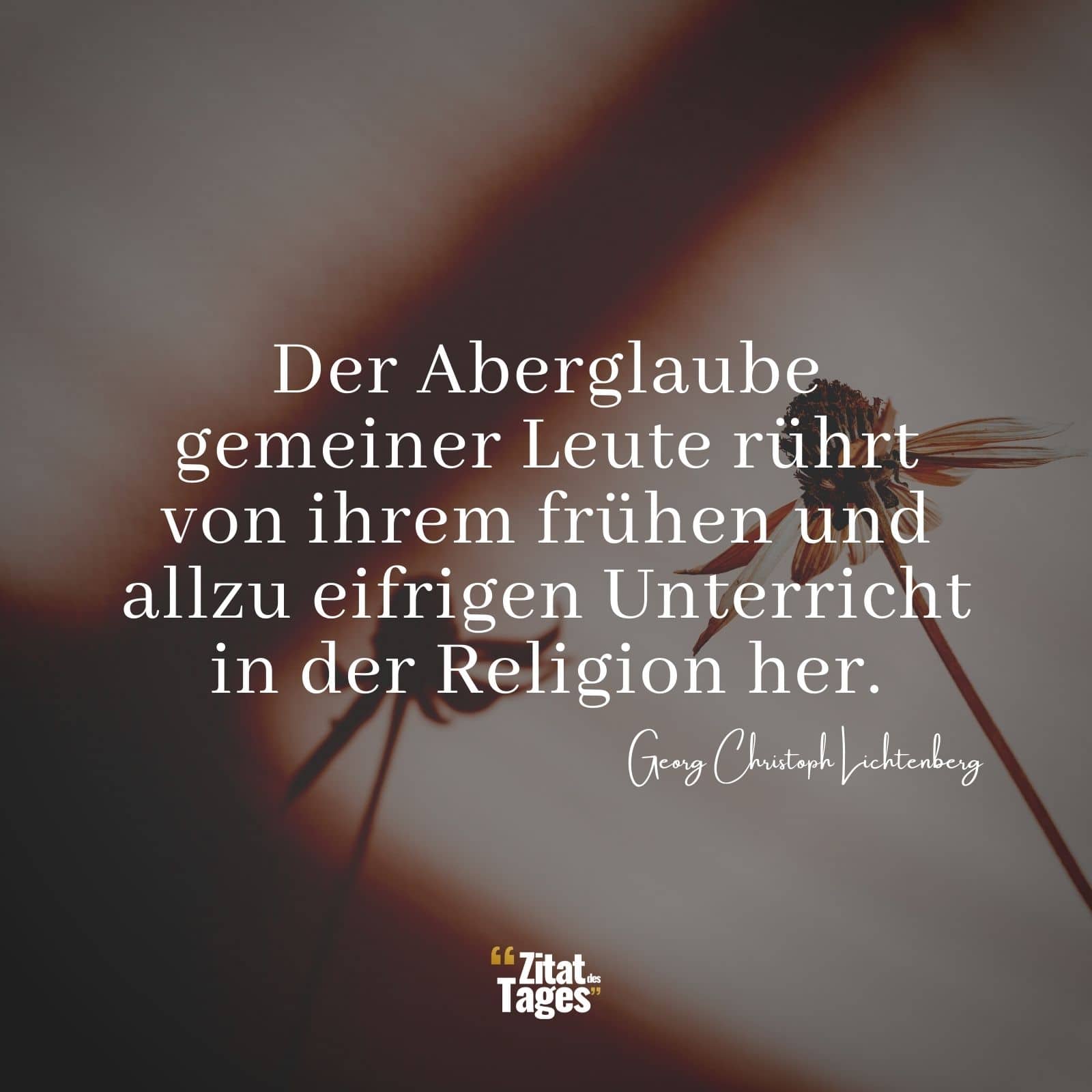 Der Aberglaube gemeiner Leute rührt von ihrem frühen und allzu eifrigen Unterricht in der Religion her. - Georg Christoph Lichtenberg