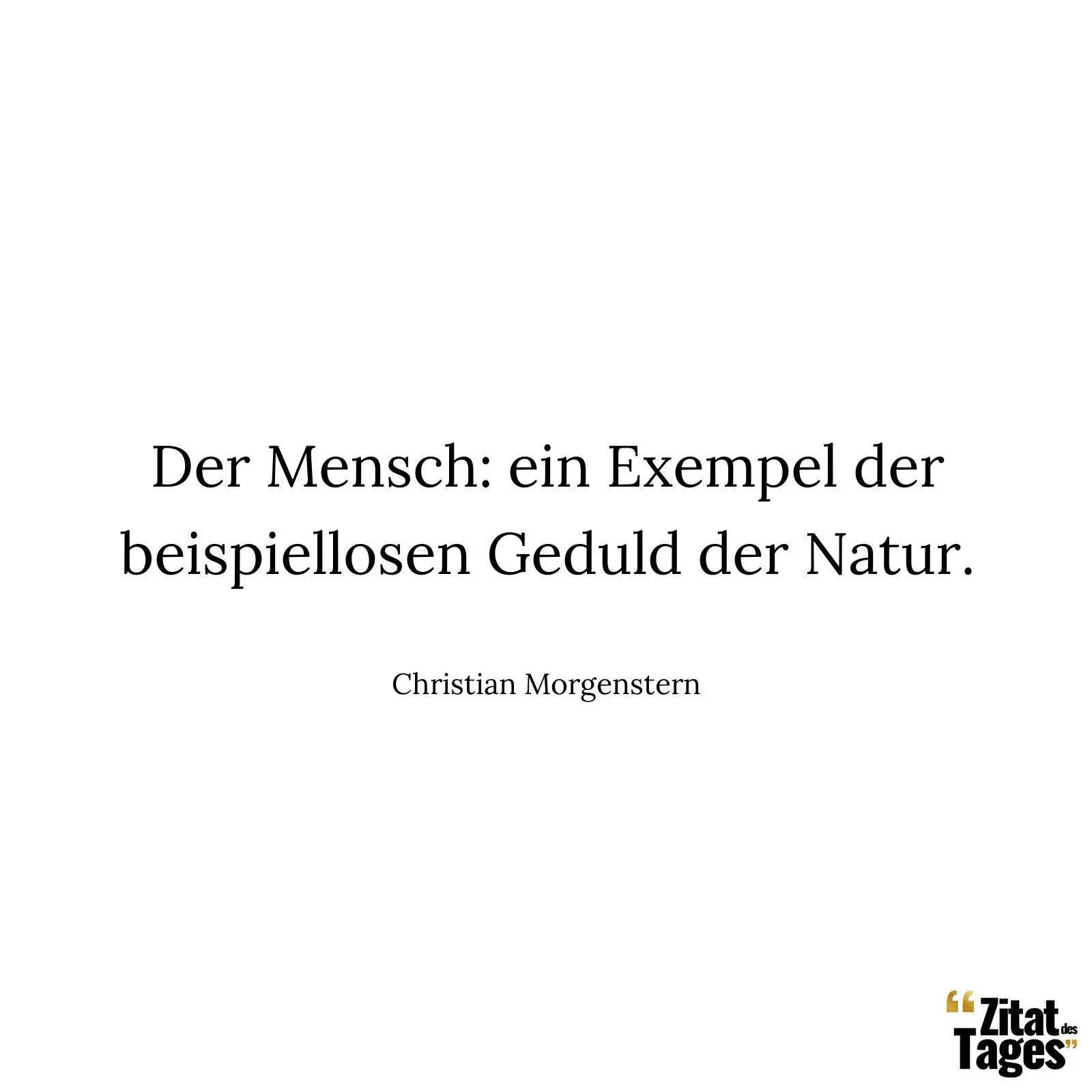 Der Mensch: ein Exempel der beispiellosen Geduld der Natur. - Christian Morgenstern