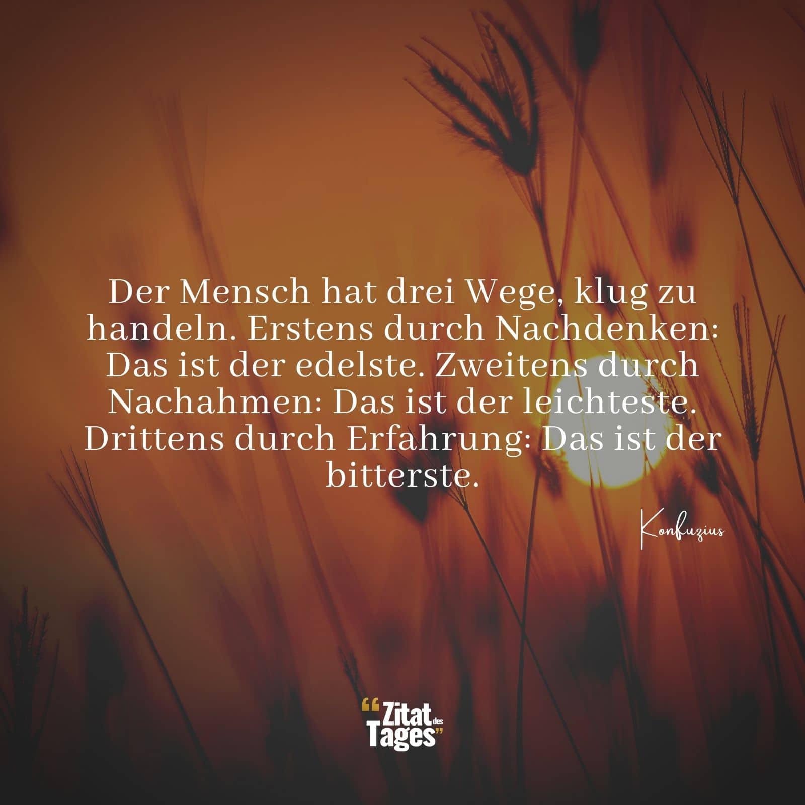 Der Mensch hat drei Wege, klug zu handeln. Erstens durch Nachdenken: Das ist der edelste. Zweitens durch Nachahmen: Das ist der leichteste. Drittens durch Erfahrung: Das ist der bitterste. - Konfuzius