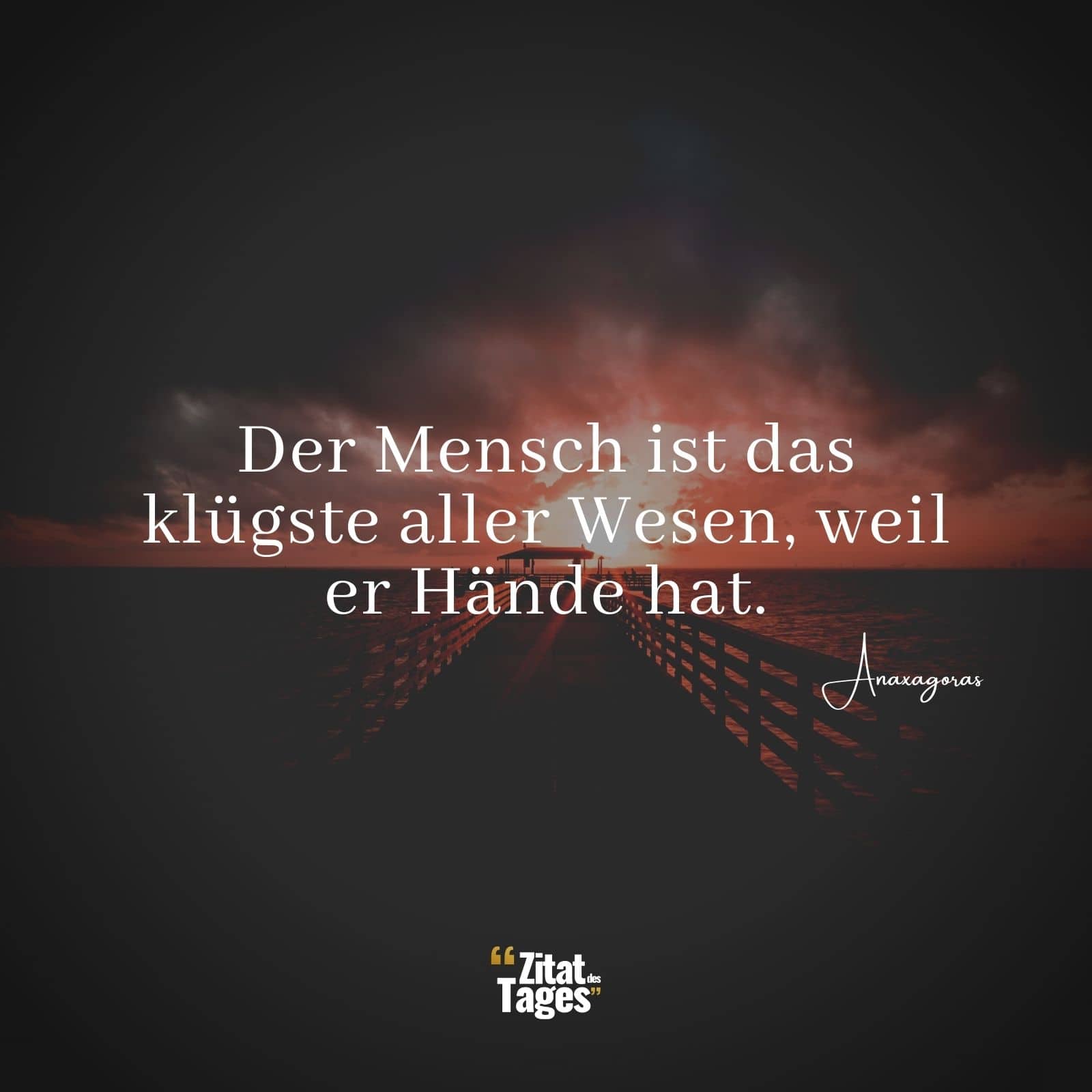 Der Mensch ist das klügste aller Wesen, weil er Hände hat. - Anaxagoras