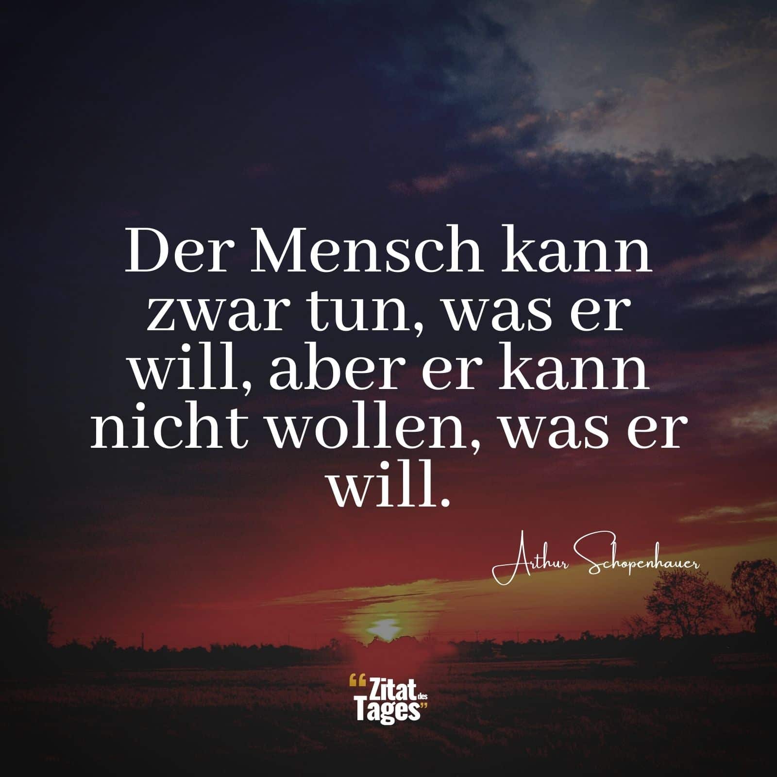 Der Mensch kann zwar tun, was er will, aber er kann nicht wollen, was er will. - Arthur Schopenhauer